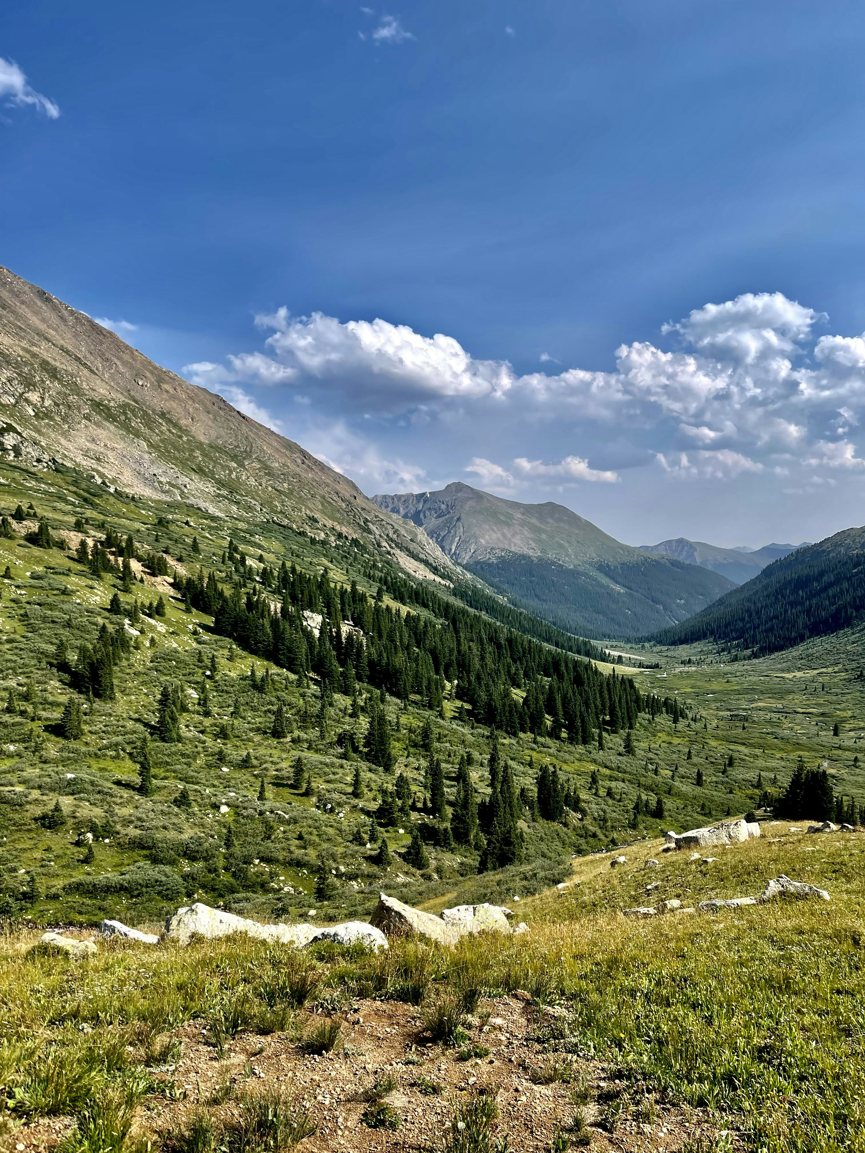 Photo by laitonbarbo