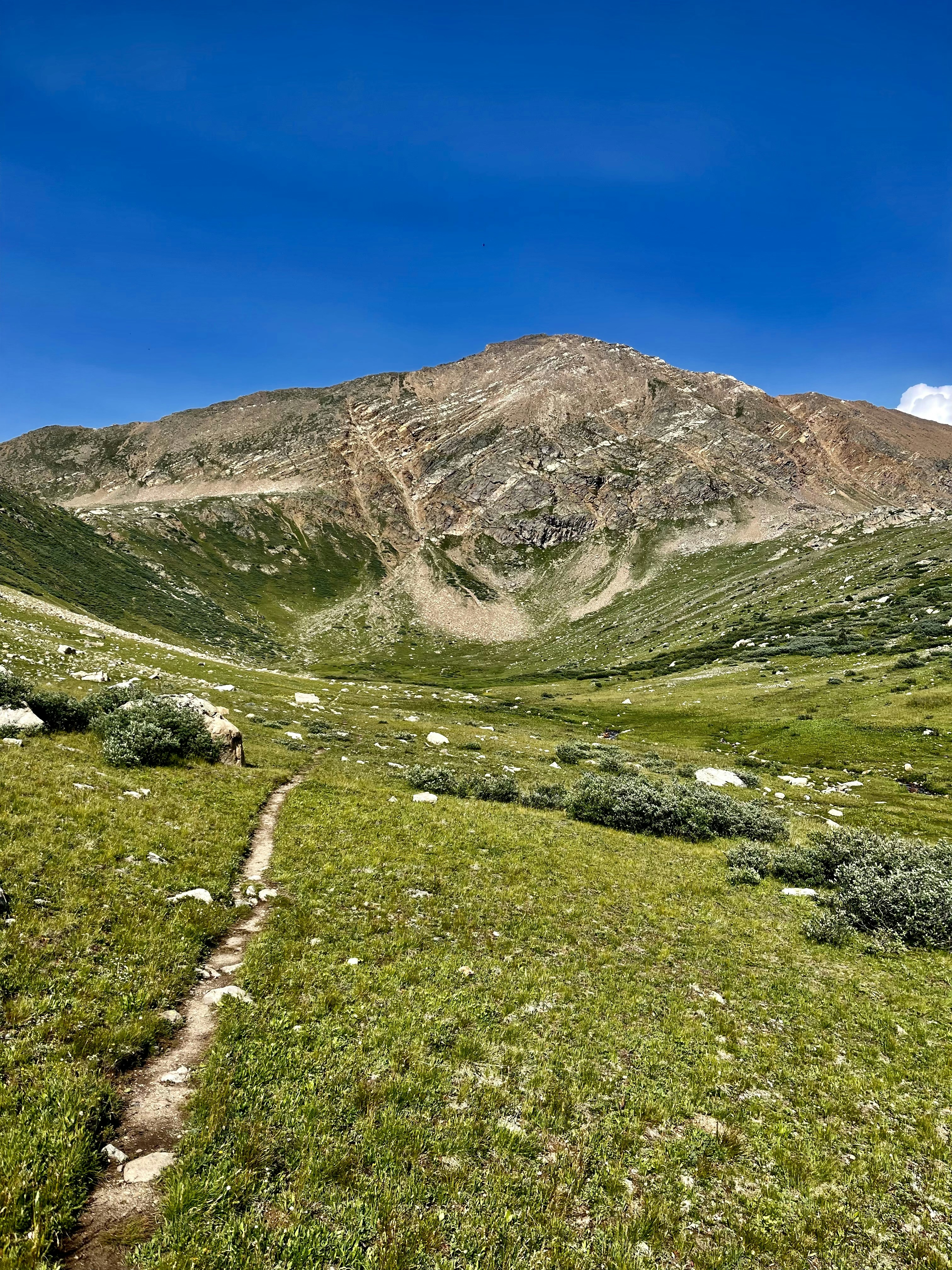 Photo by laitonbarbo