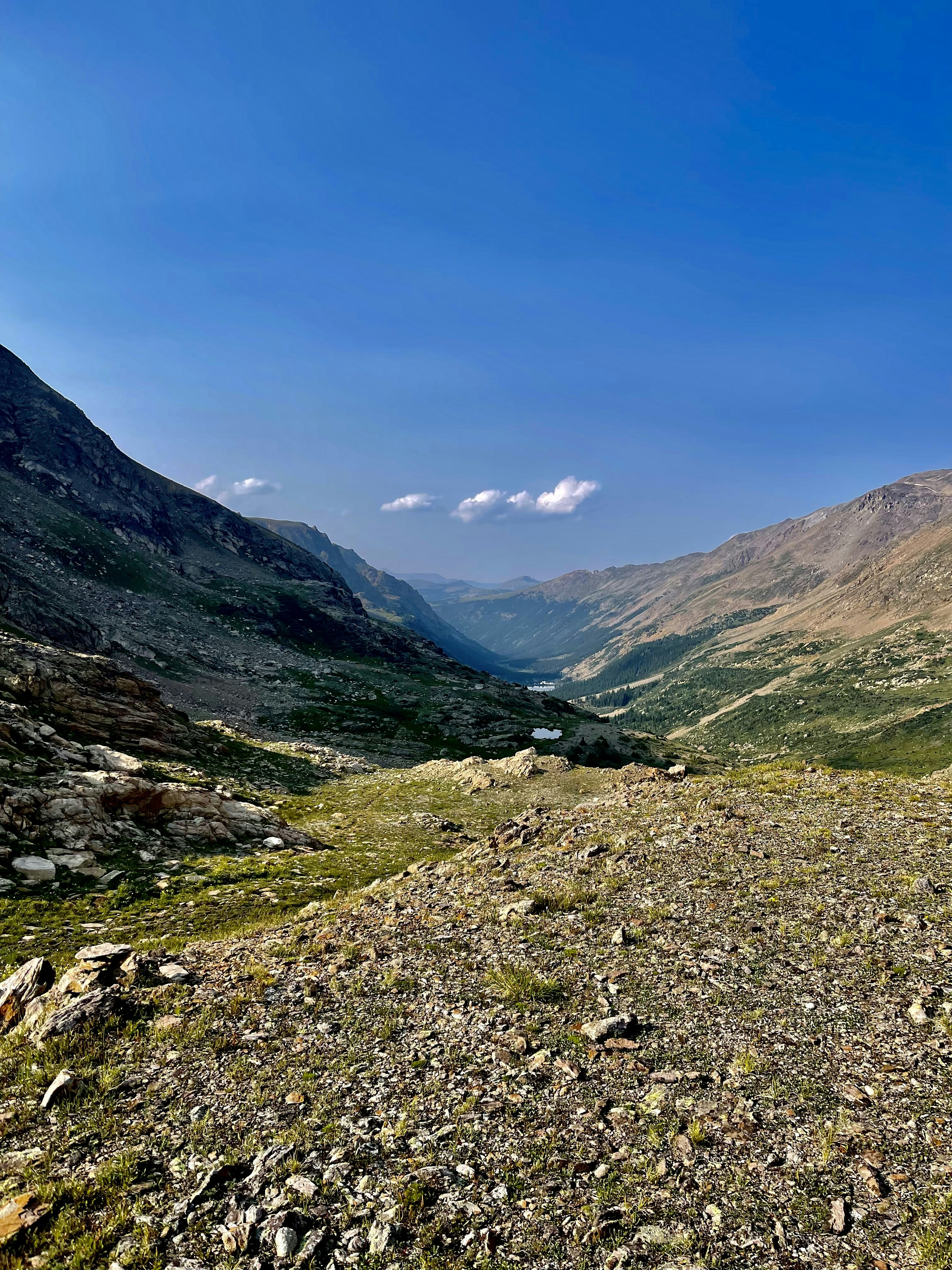 Photo by laitonbarbo