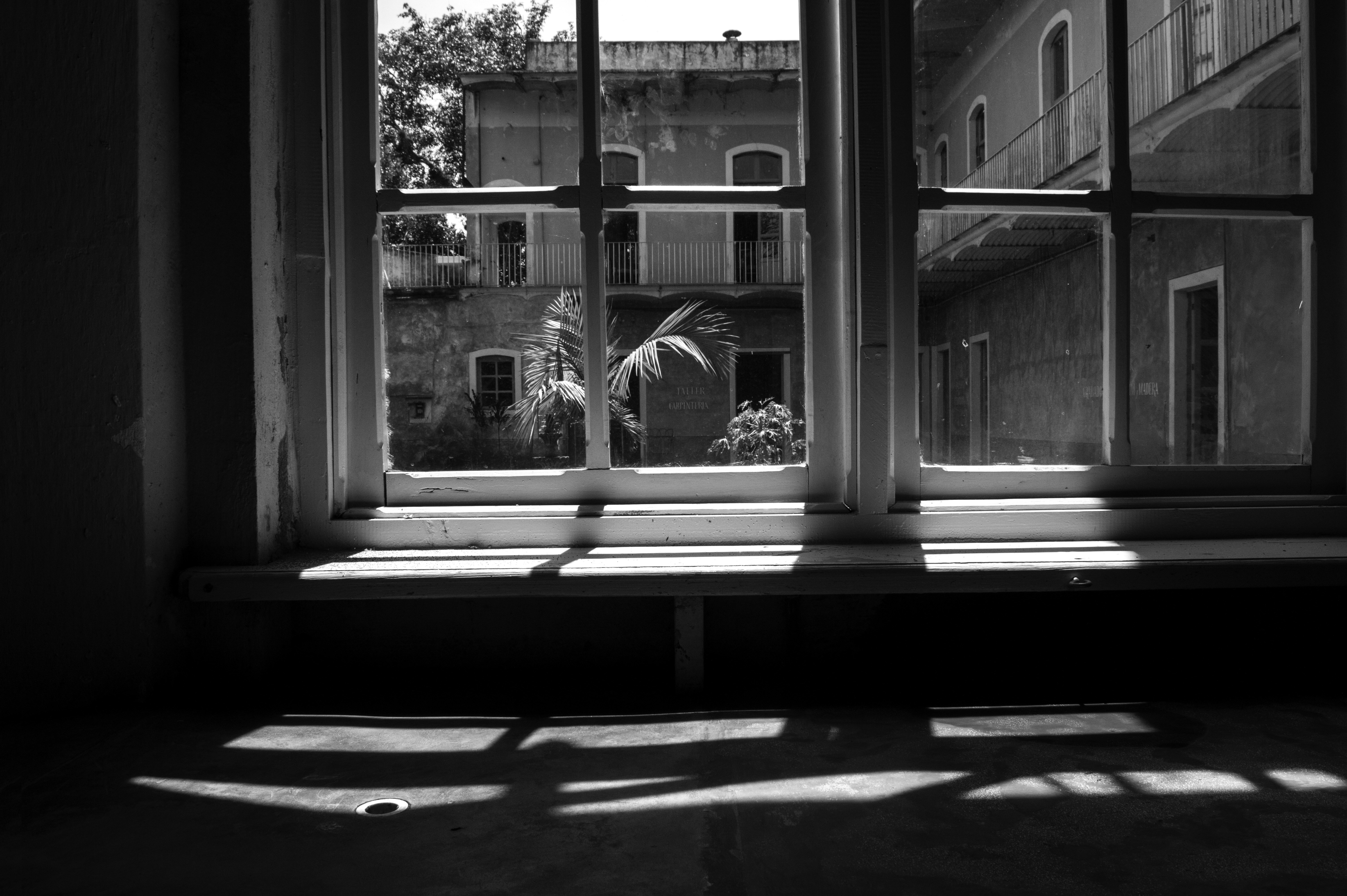 View from window in La Orduña, Coatepec.