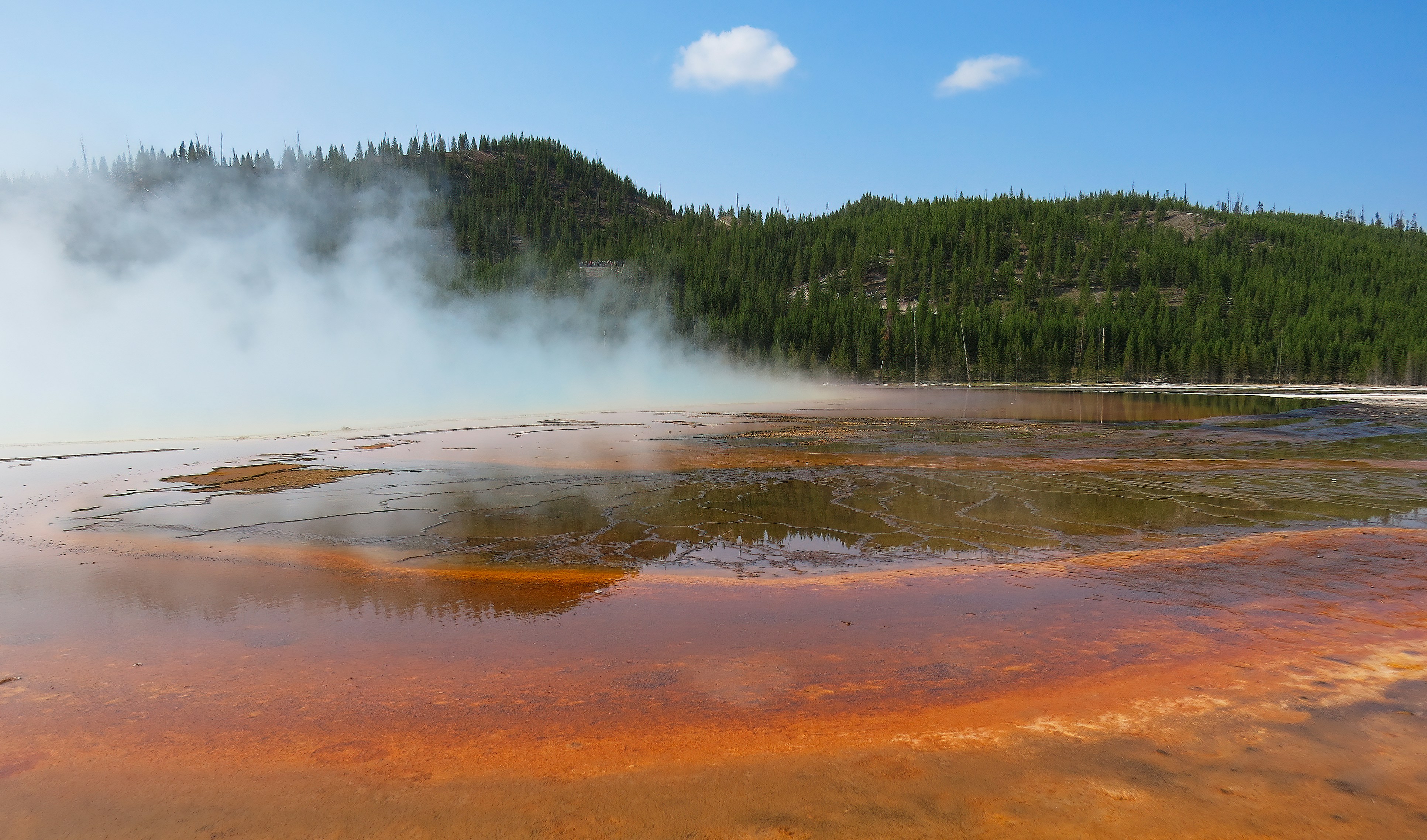 Photo by bullterriere