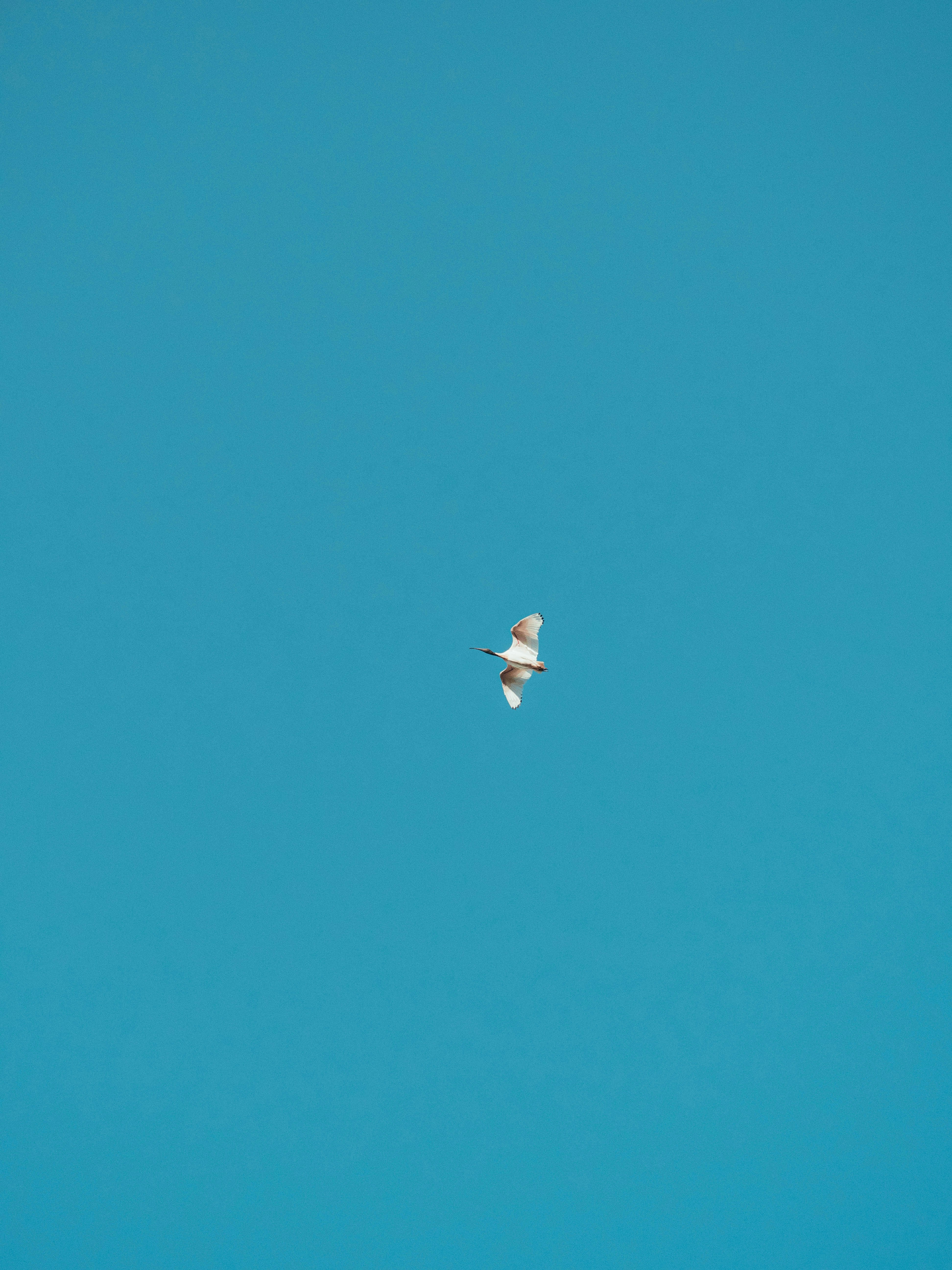 Photo by archie_douglass