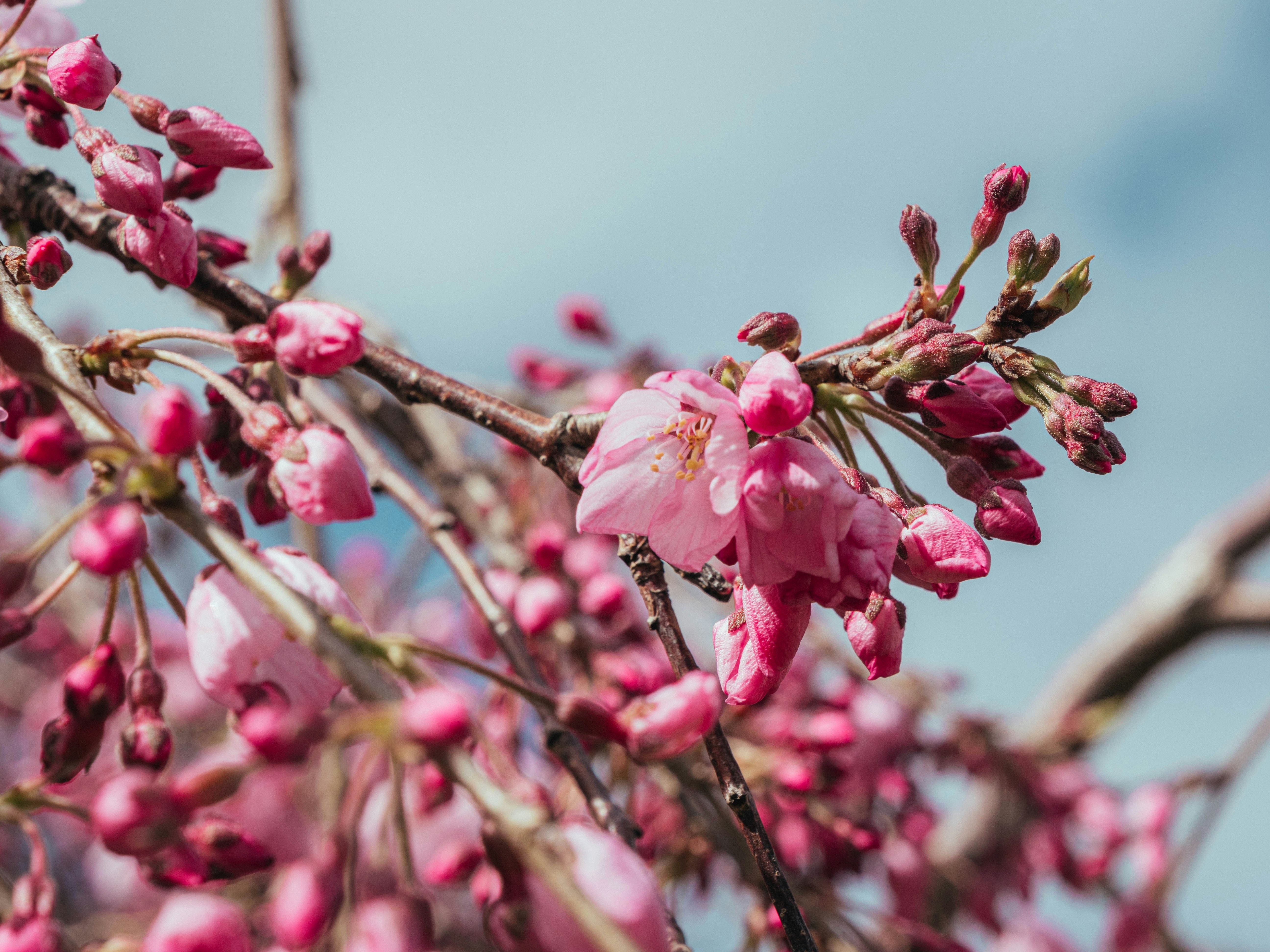 Photo by archie_douglass