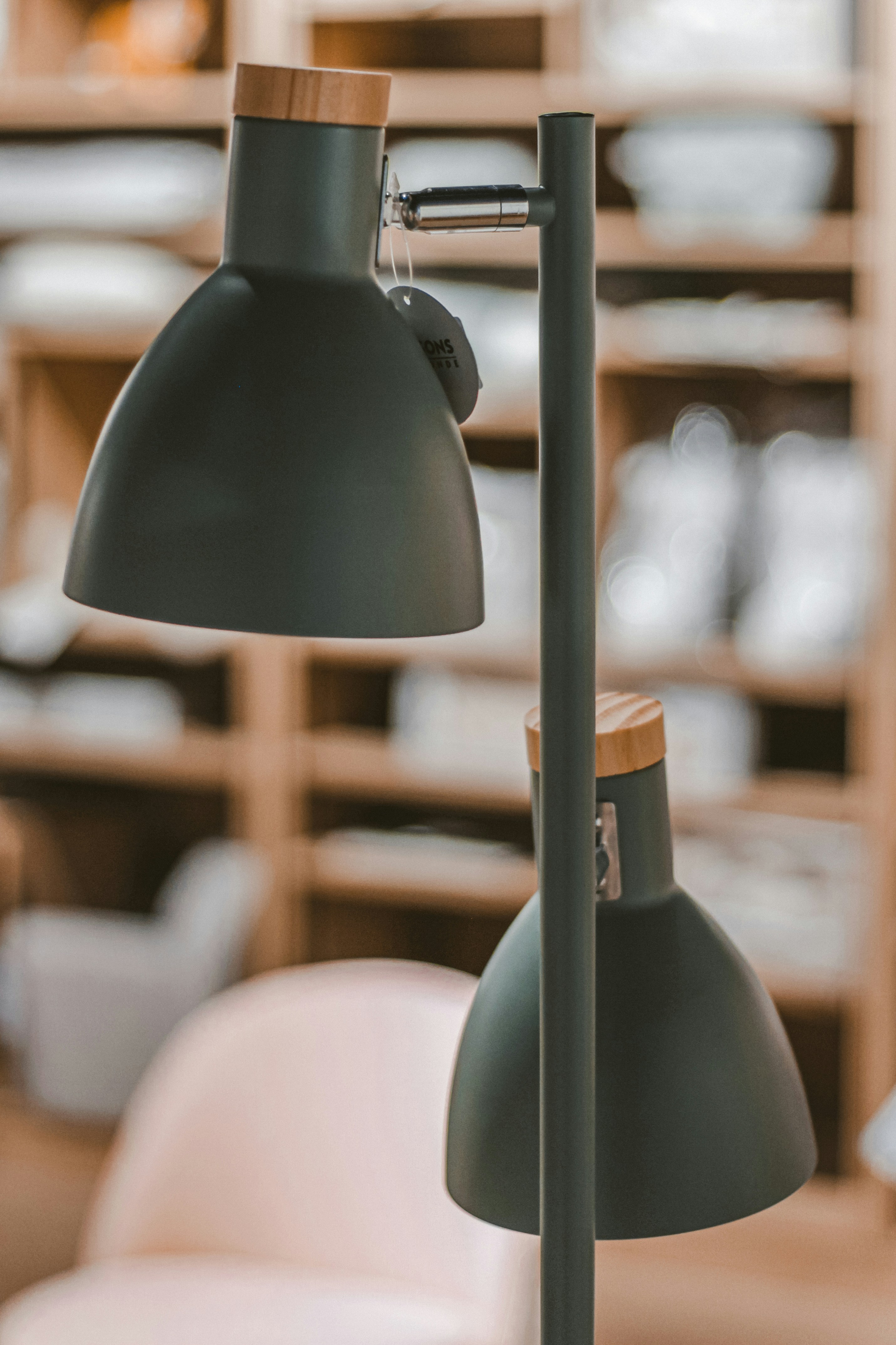 Photo by dhayaeddinebentaleb