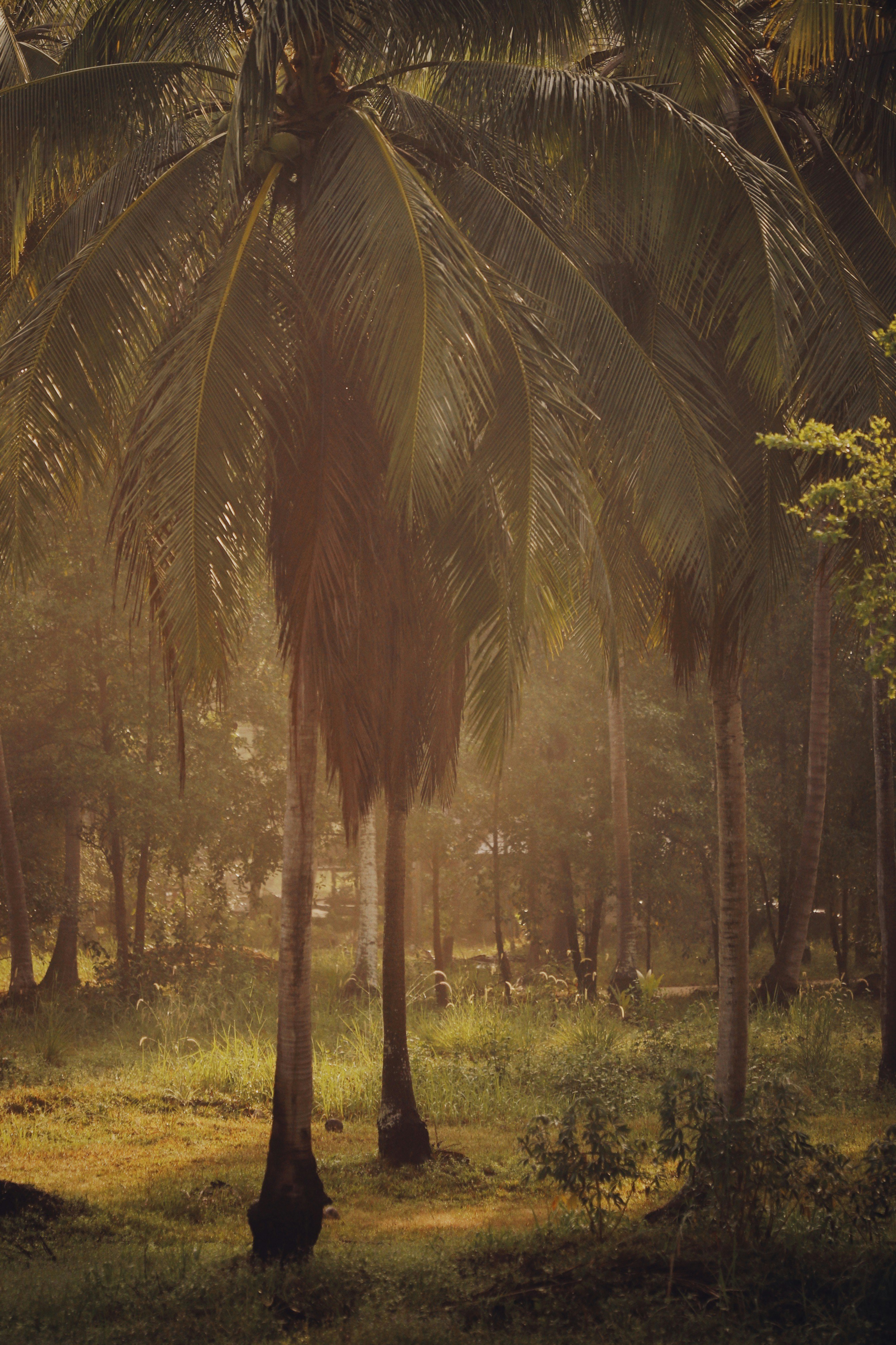 Photo by alexeydemidov