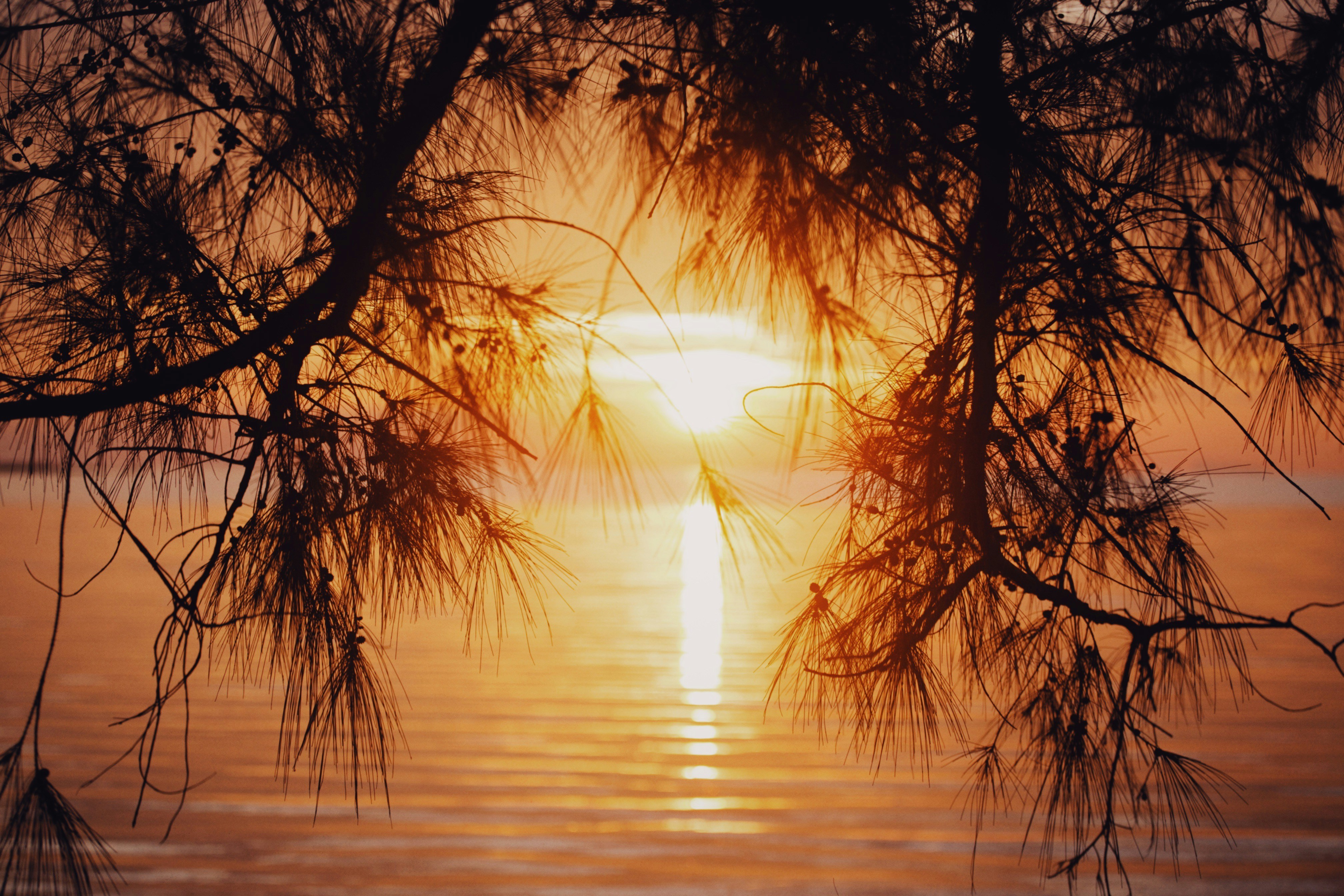 Photo by alexeydemidov