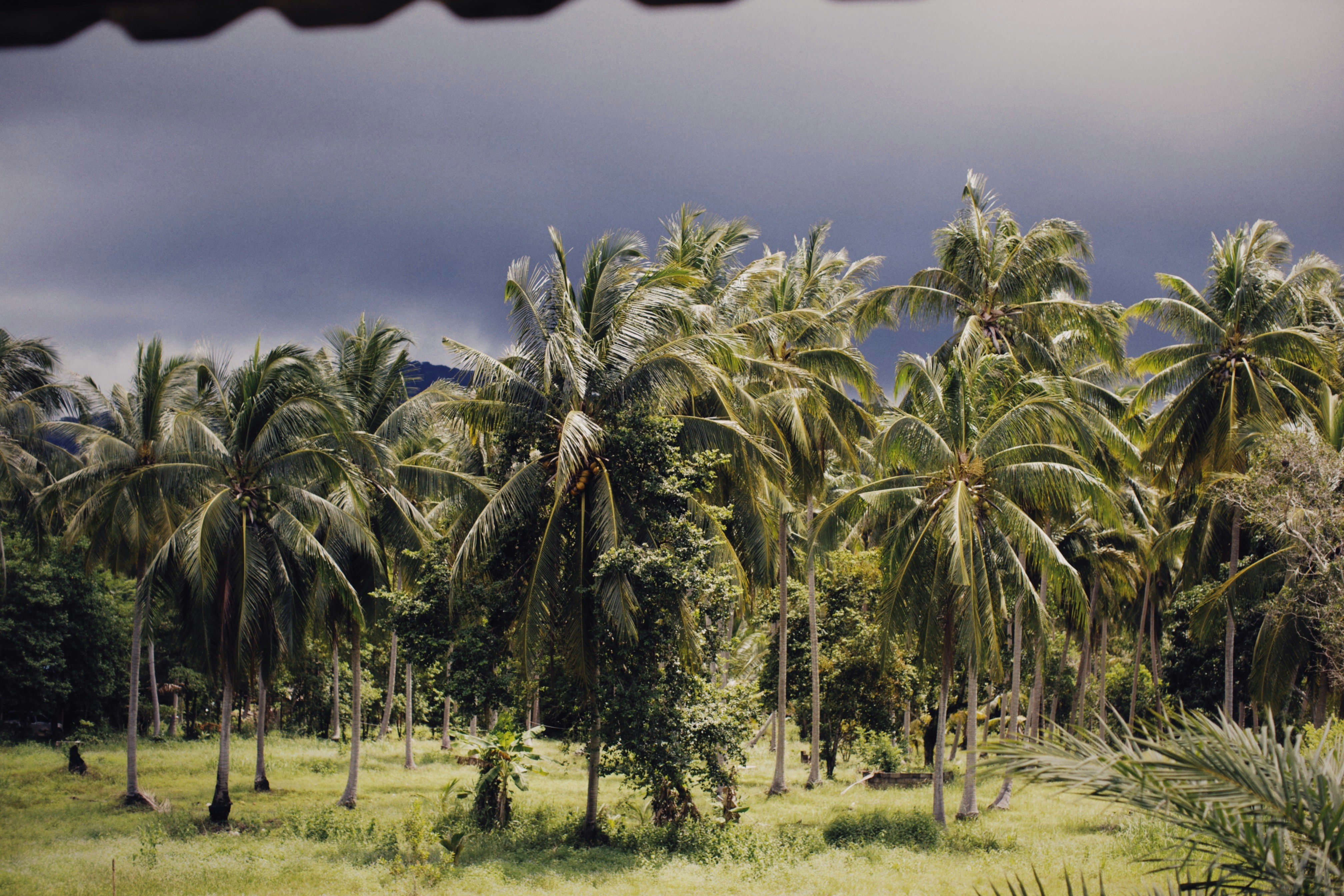 Photo by alexeydemidov