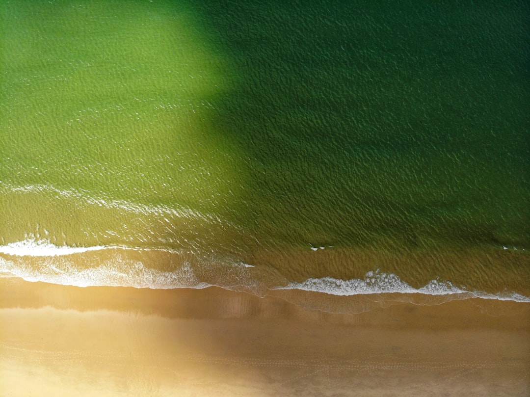 green and brown ocean waves