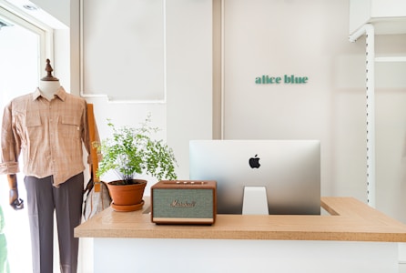A neatly arranged retail space featuring a mannequin dressed in a casual shirt and trousers. On the counter is an Apple desktop computer, a potted plant, and a Marshall speaker. The decor is minimalist with a clean and organized aesthetic. The name 'allee blue' is displayed on the wall.