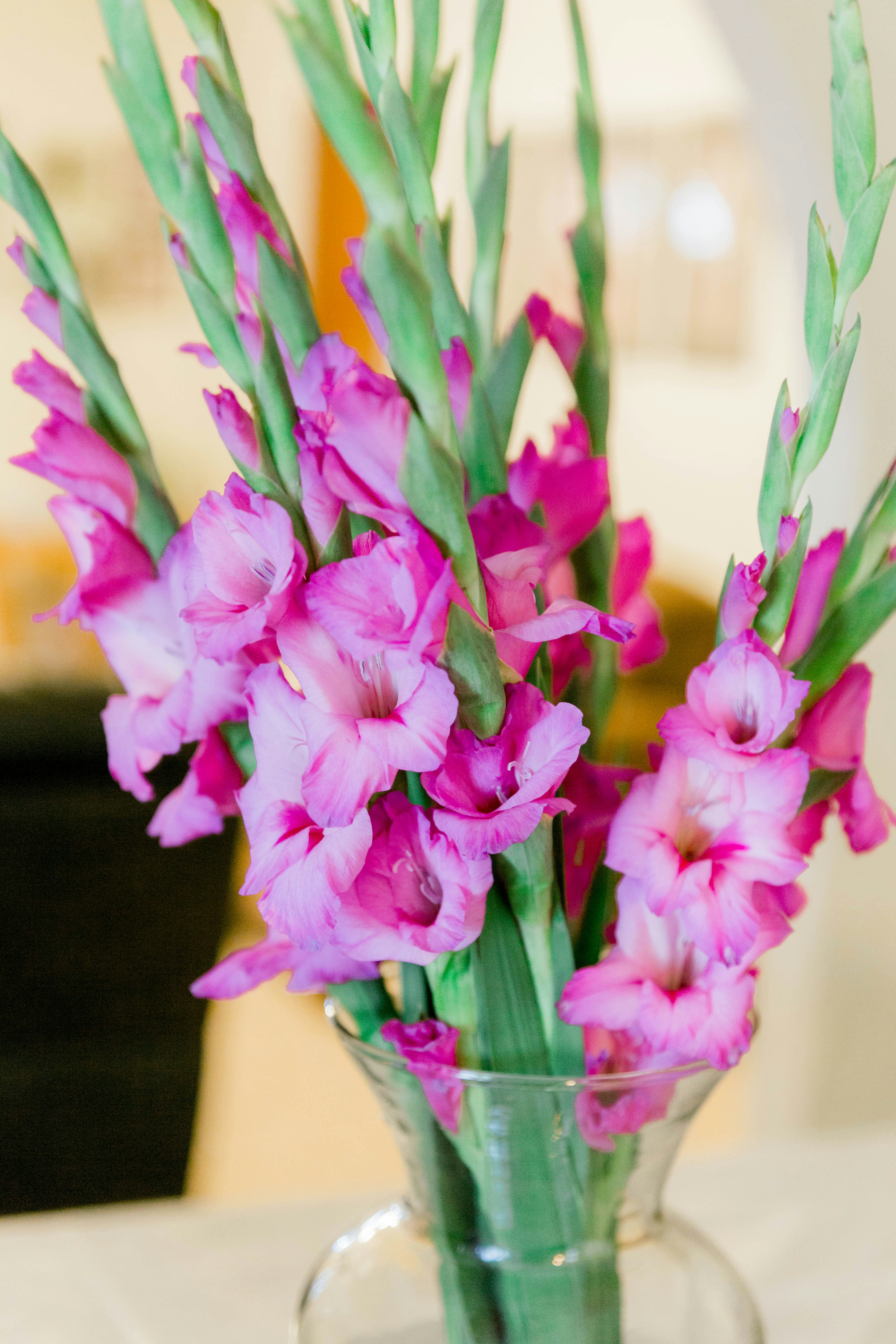 Photo by benignohoyuela