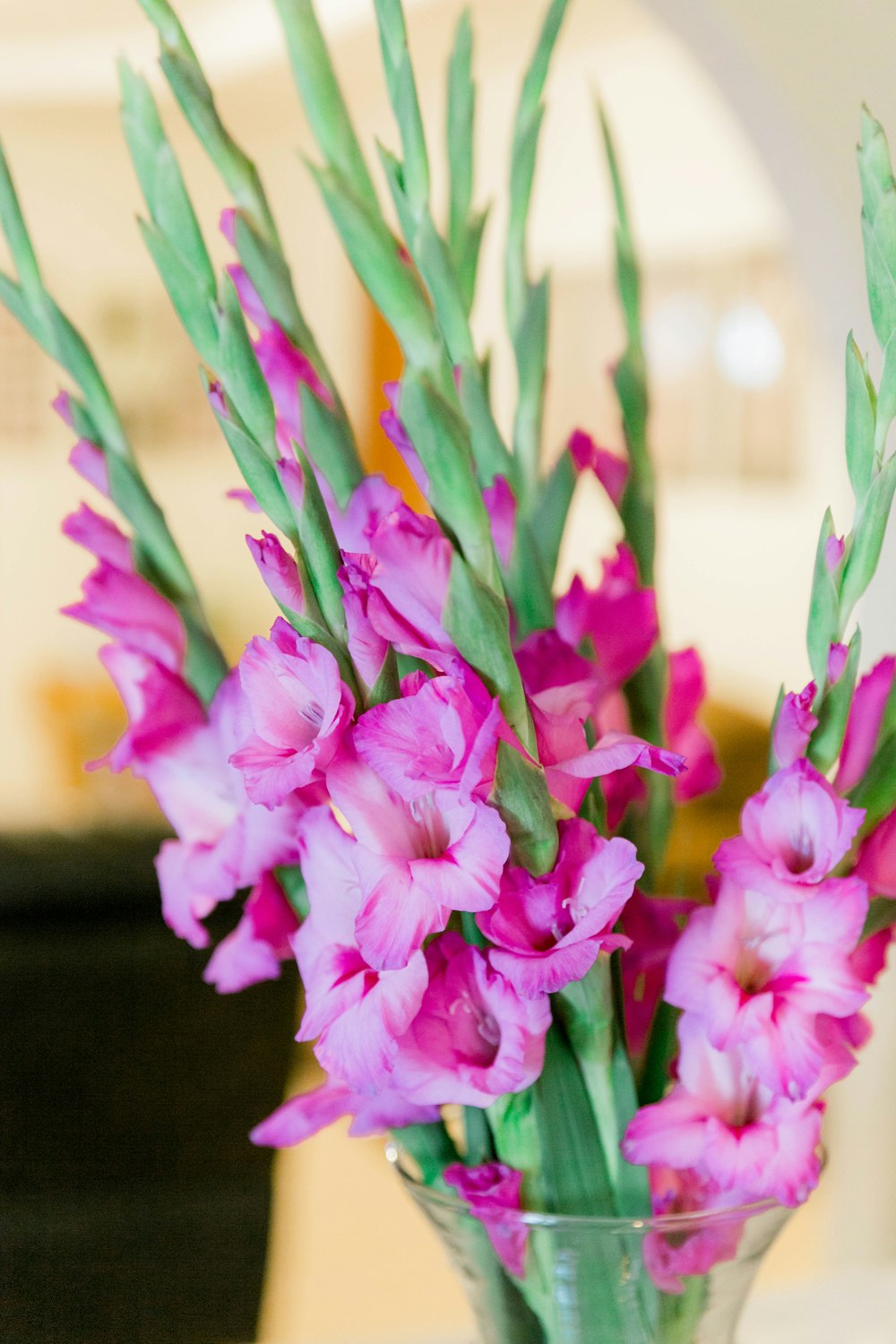 pink flowers in tilt shift lens