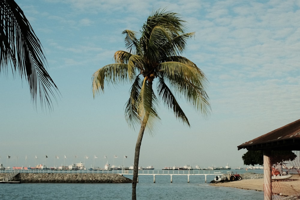 people on beach during daytime