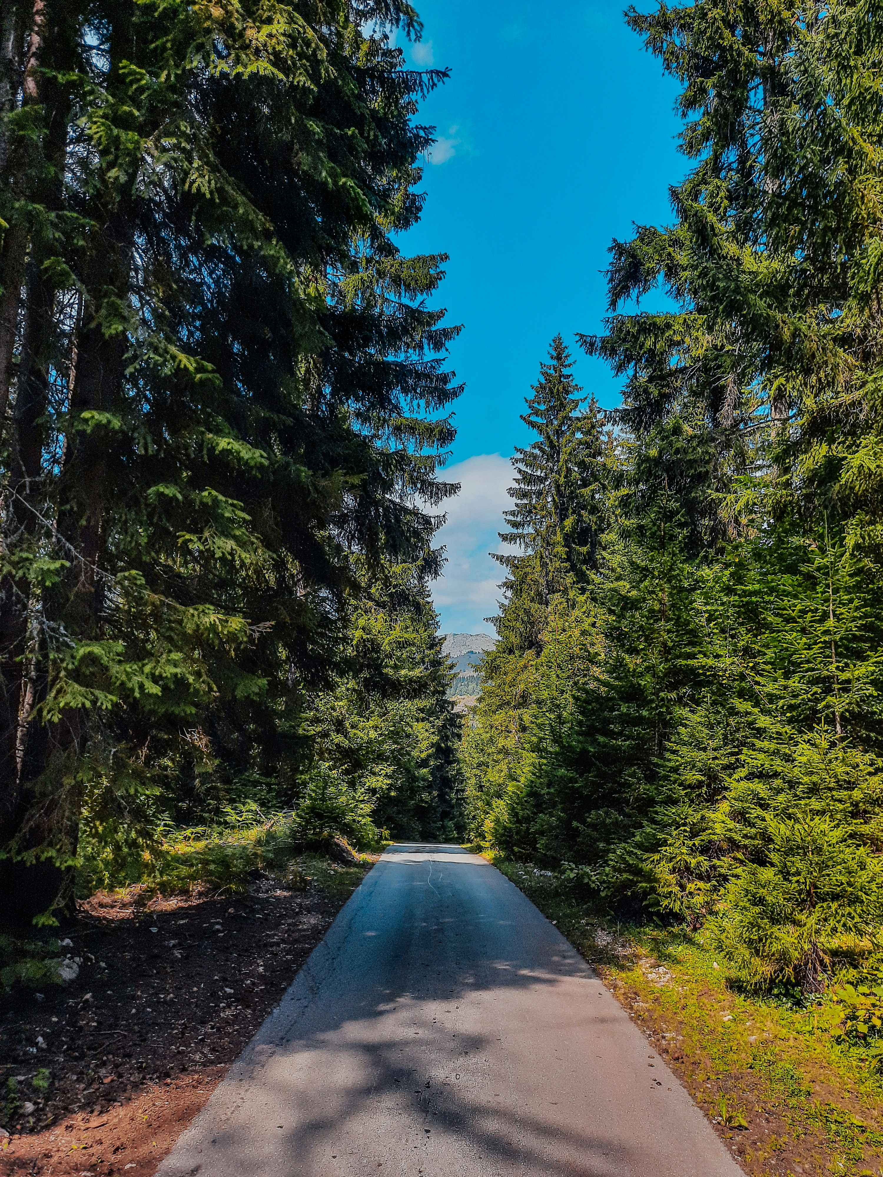 Photo by sredina_jeseni