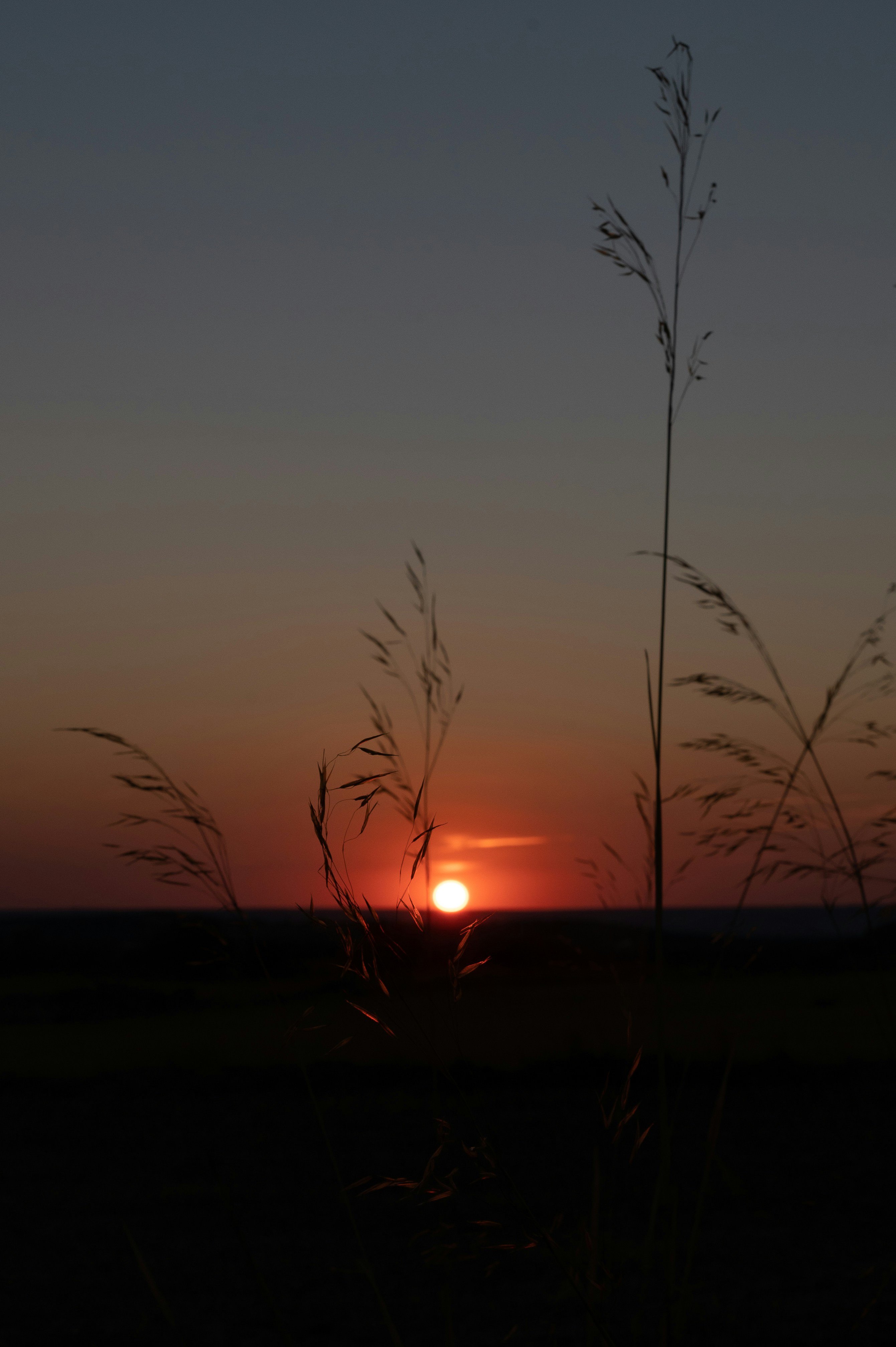 Photo by piensaenpixel