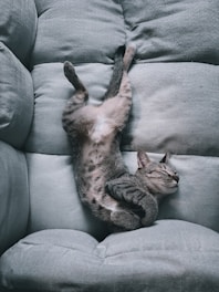 heal as you sleep