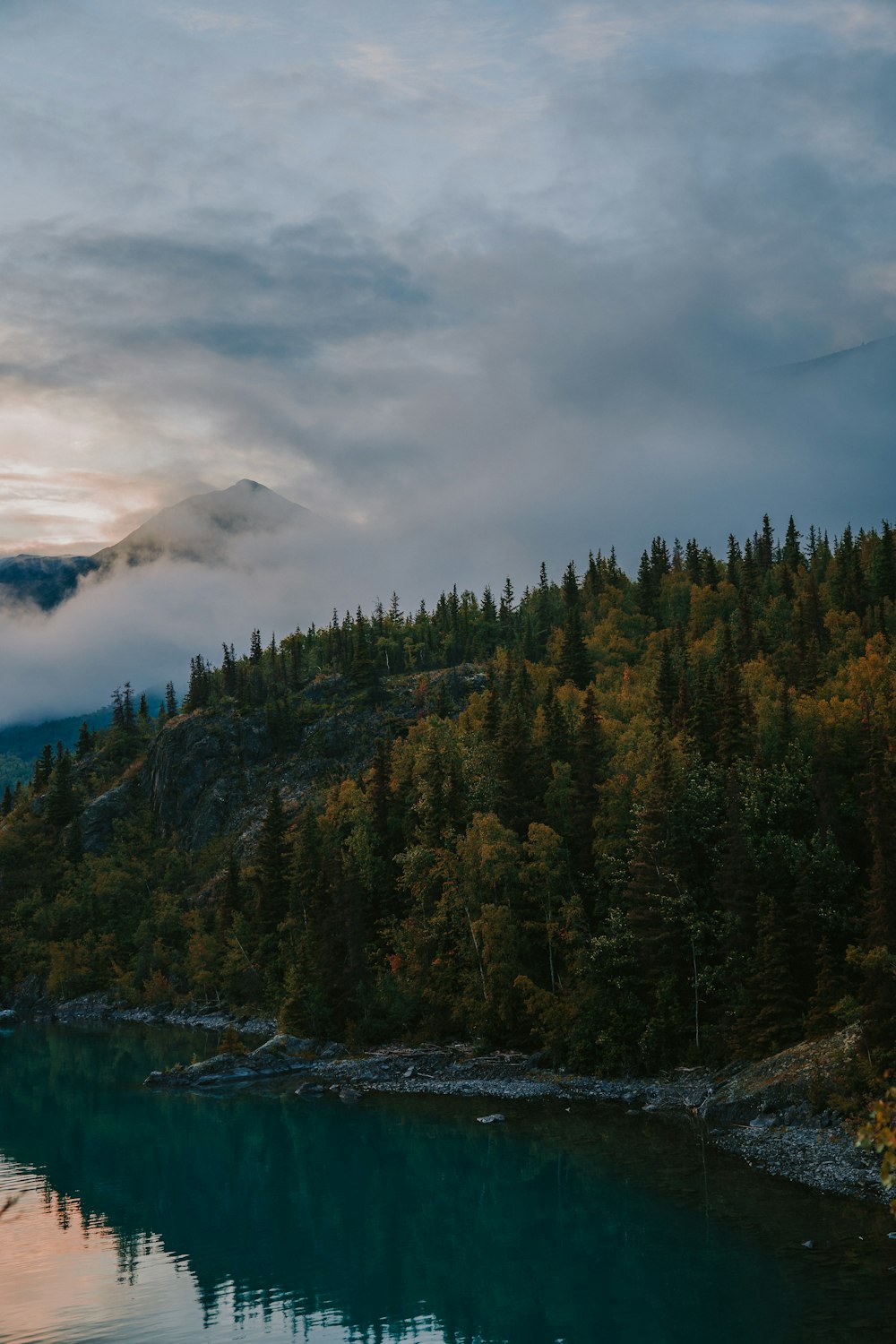 green trees near body of water under cloudy sky during daytime