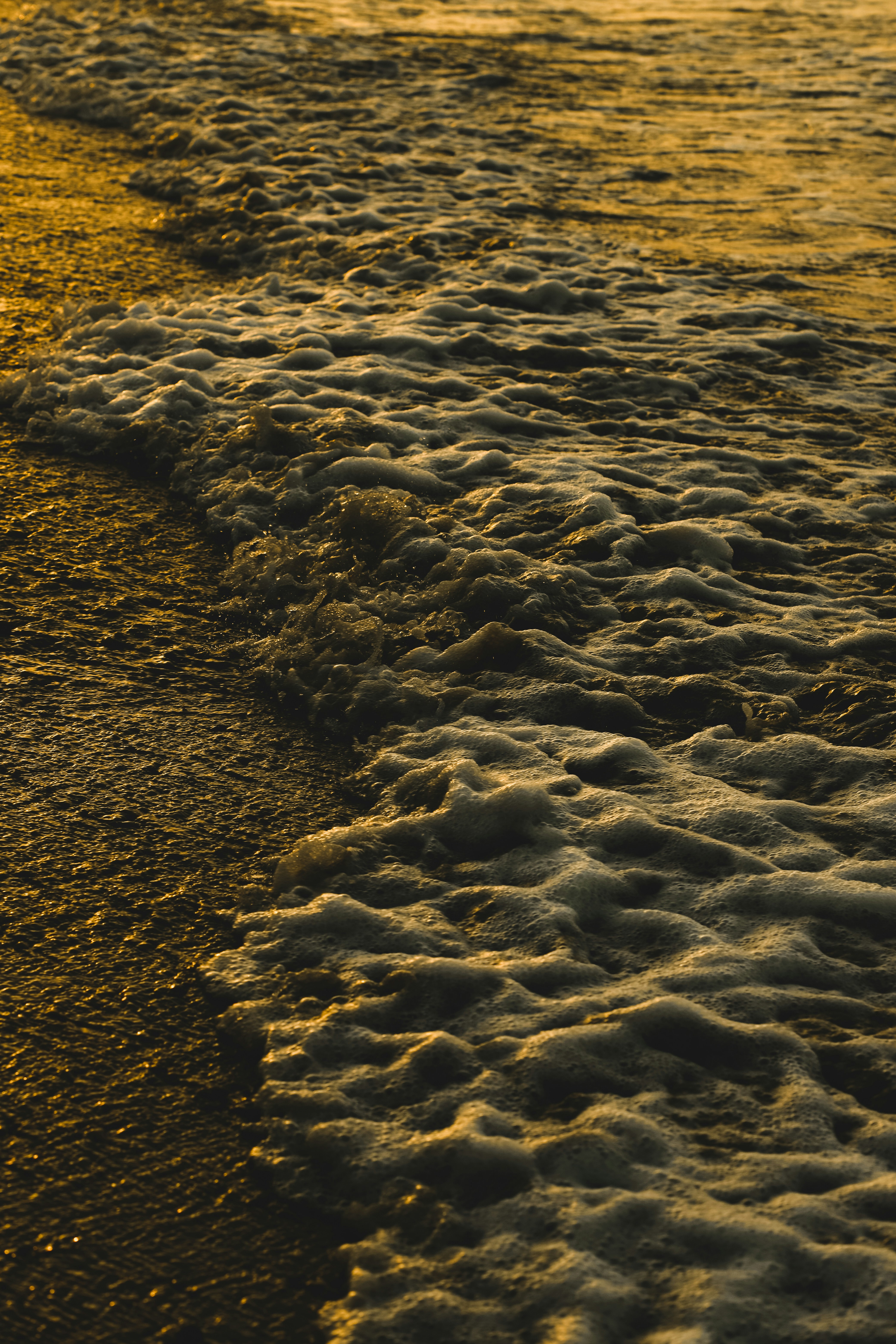 Photo by shahrukh_rehman1