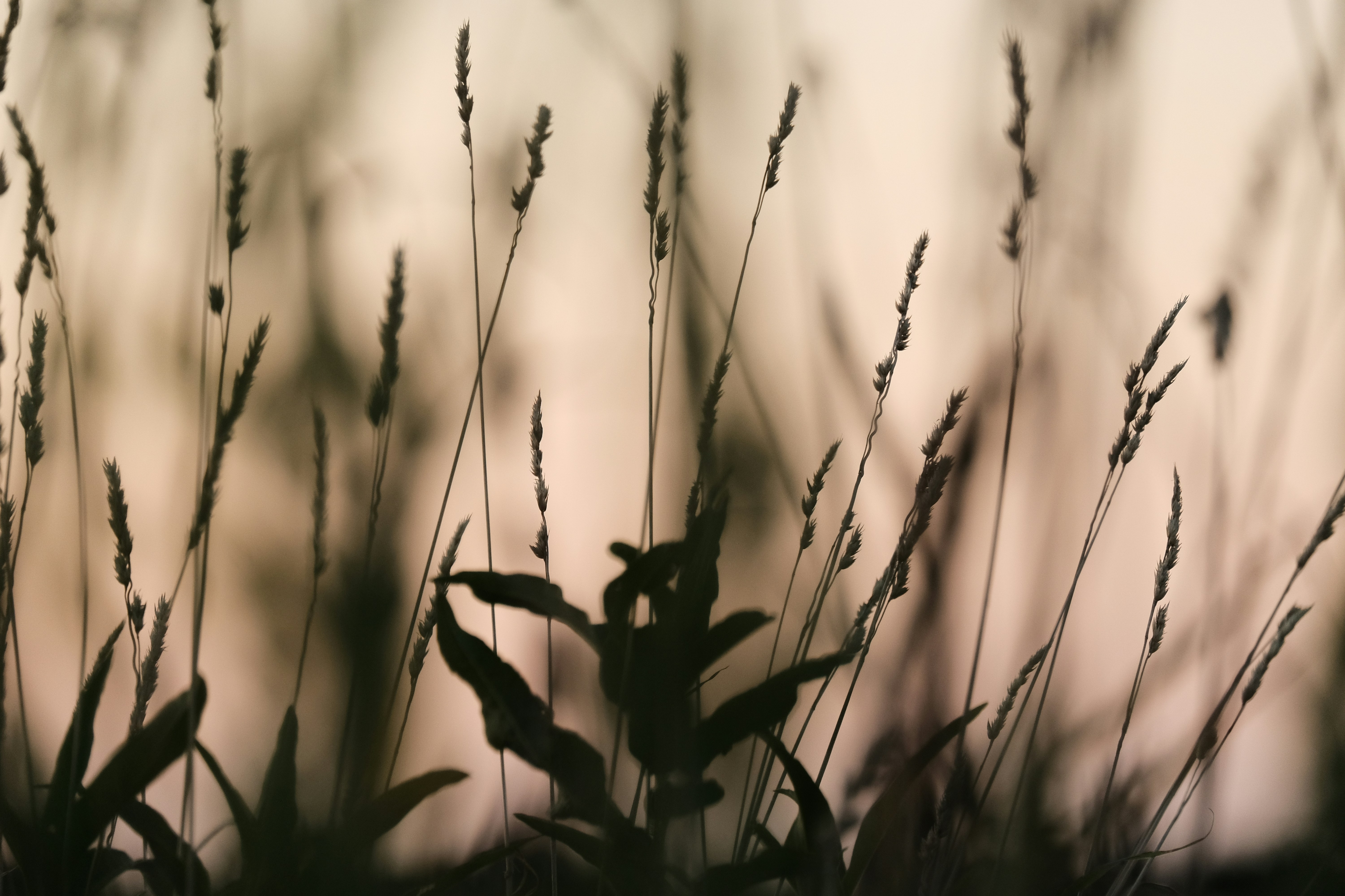 Photo by kurthybela