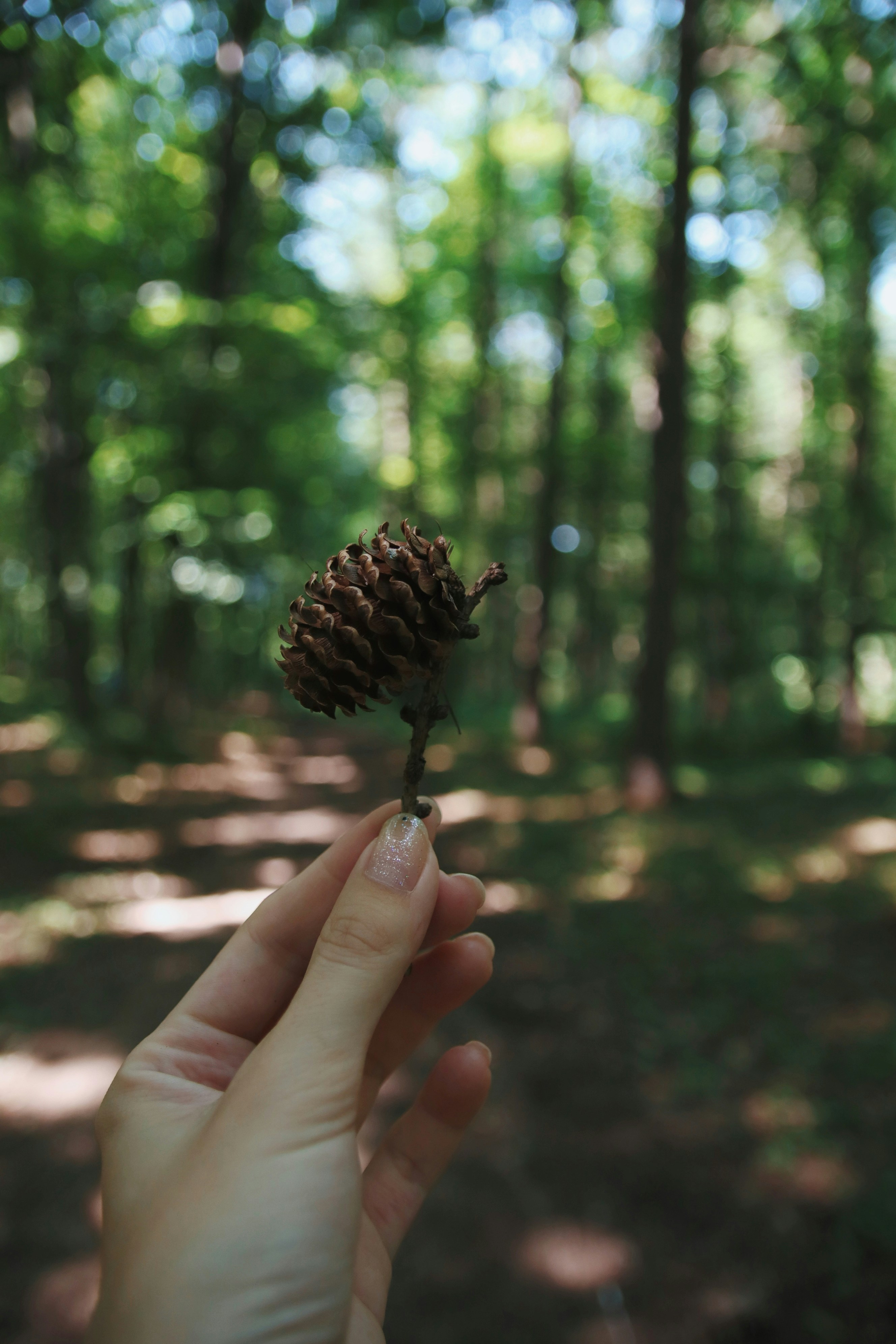 Photo by feeling_hope