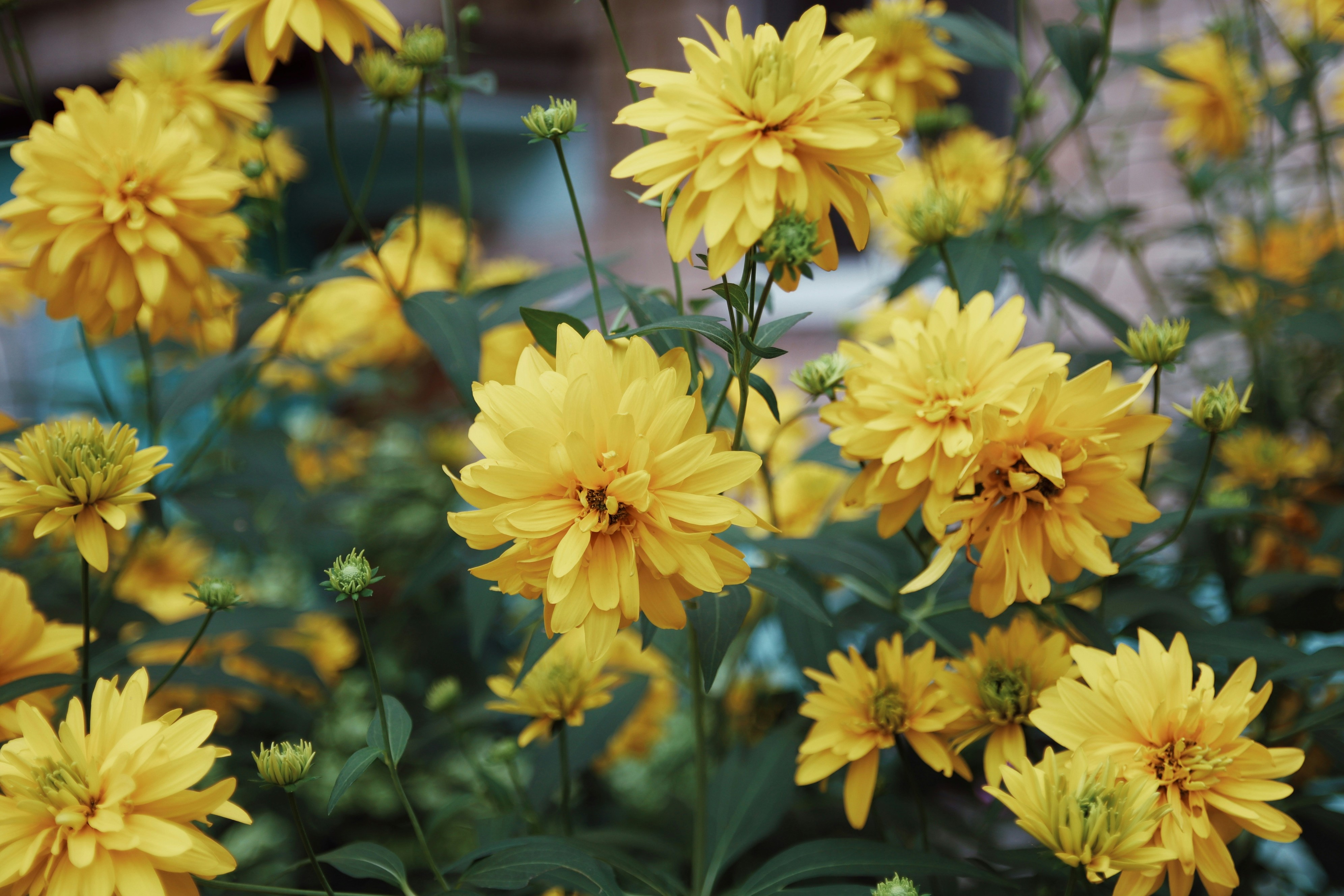 Photo by feeling_hope