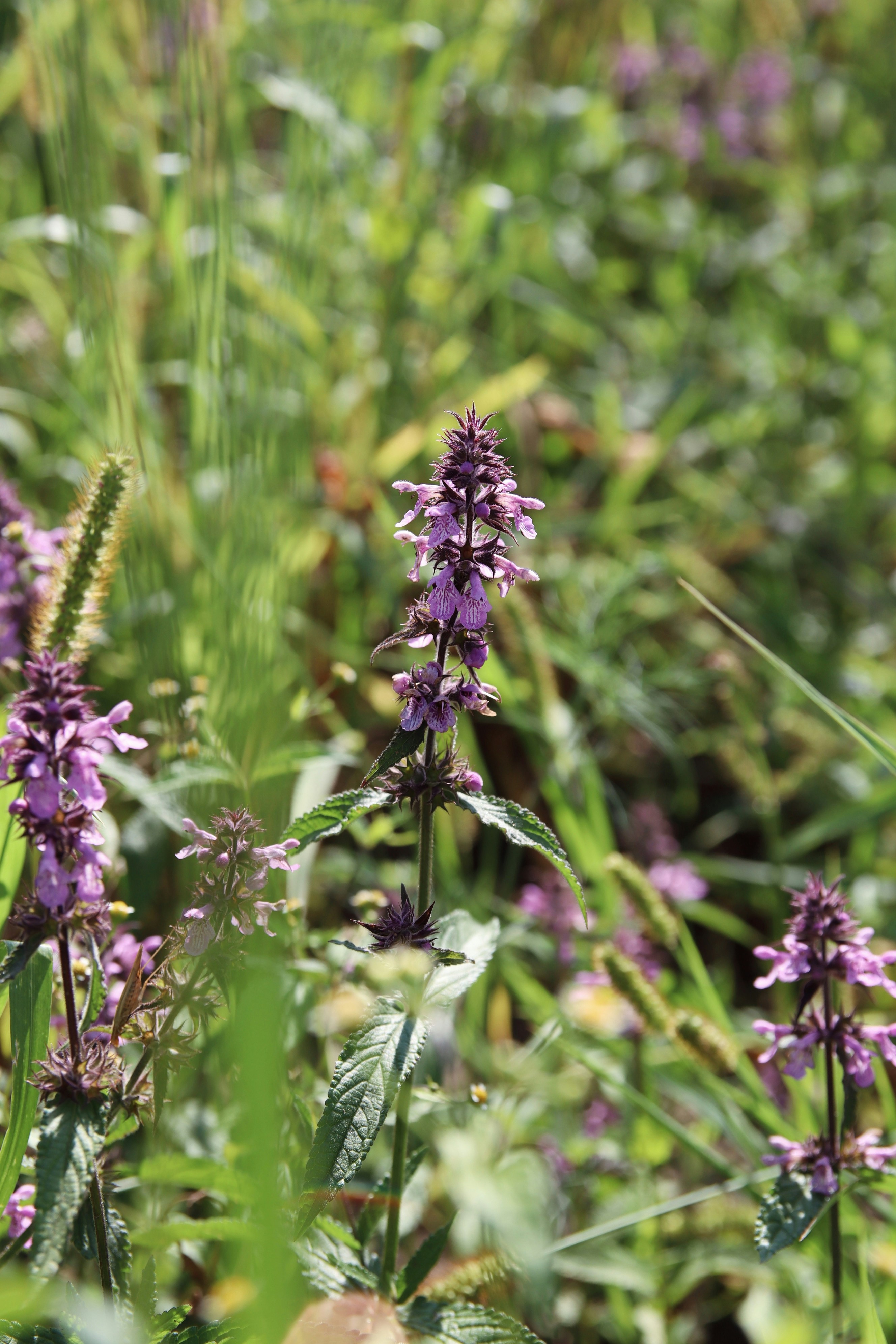 Photo by feeling_hope