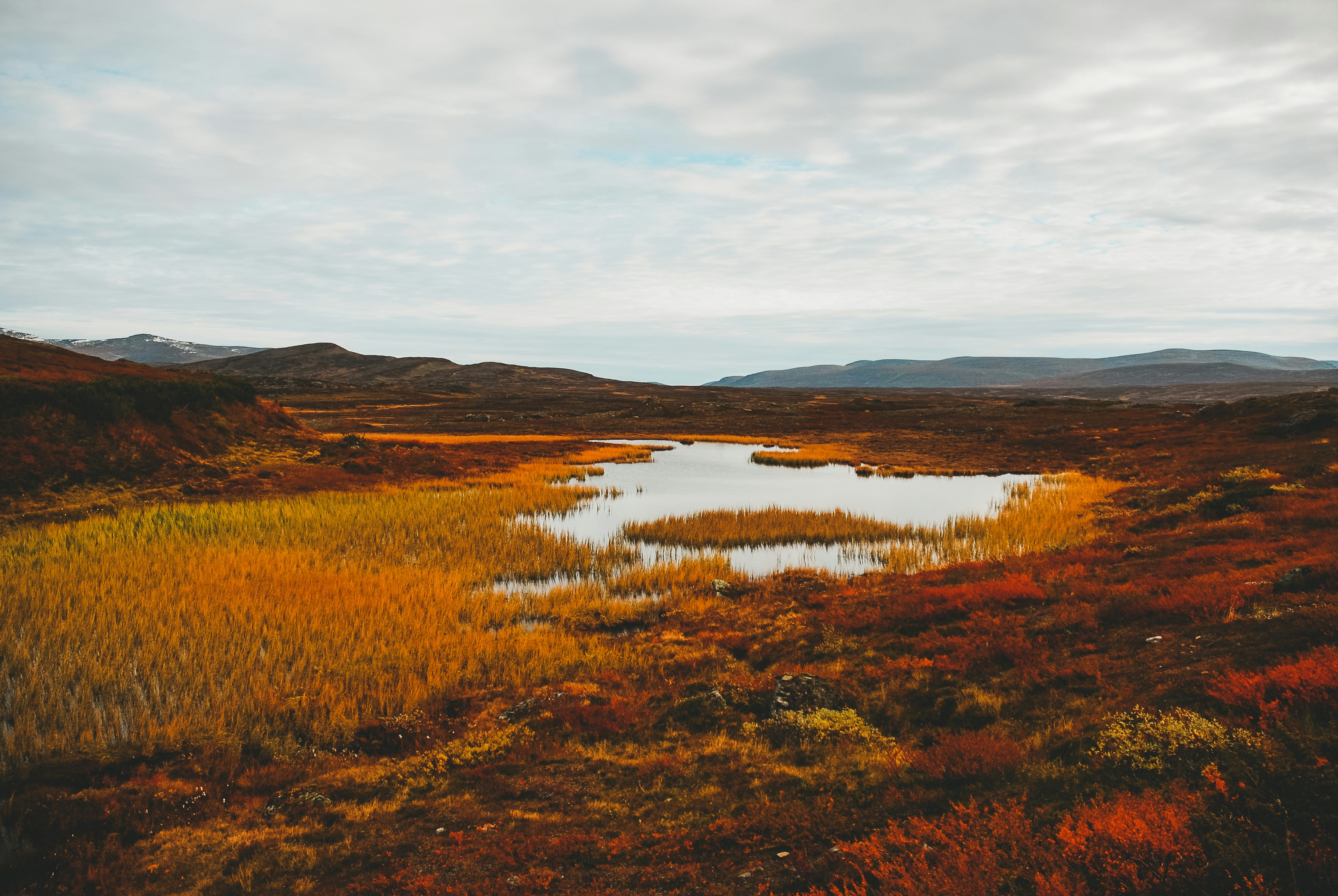 Photo by niklasveenhuis