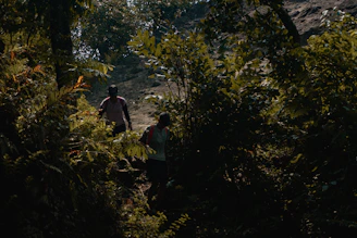 A couple hiking through lush tropical greenery with sunlight filtering through the leaves.