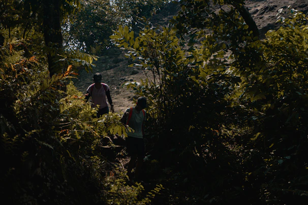 A couple hiking through lush tropical greenery with sunlight filtering through the leaves.