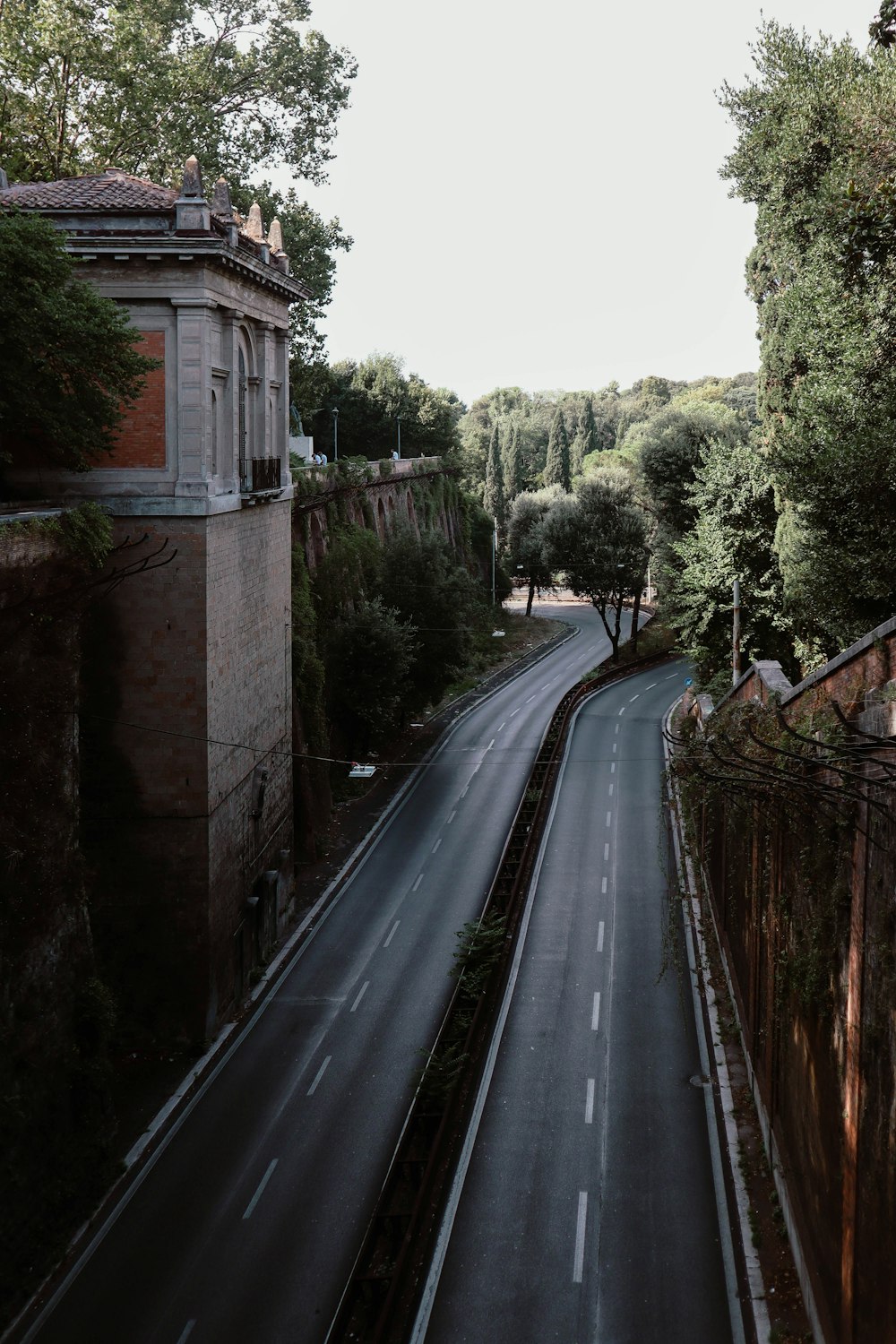 gray concrete road between green trees during daytime