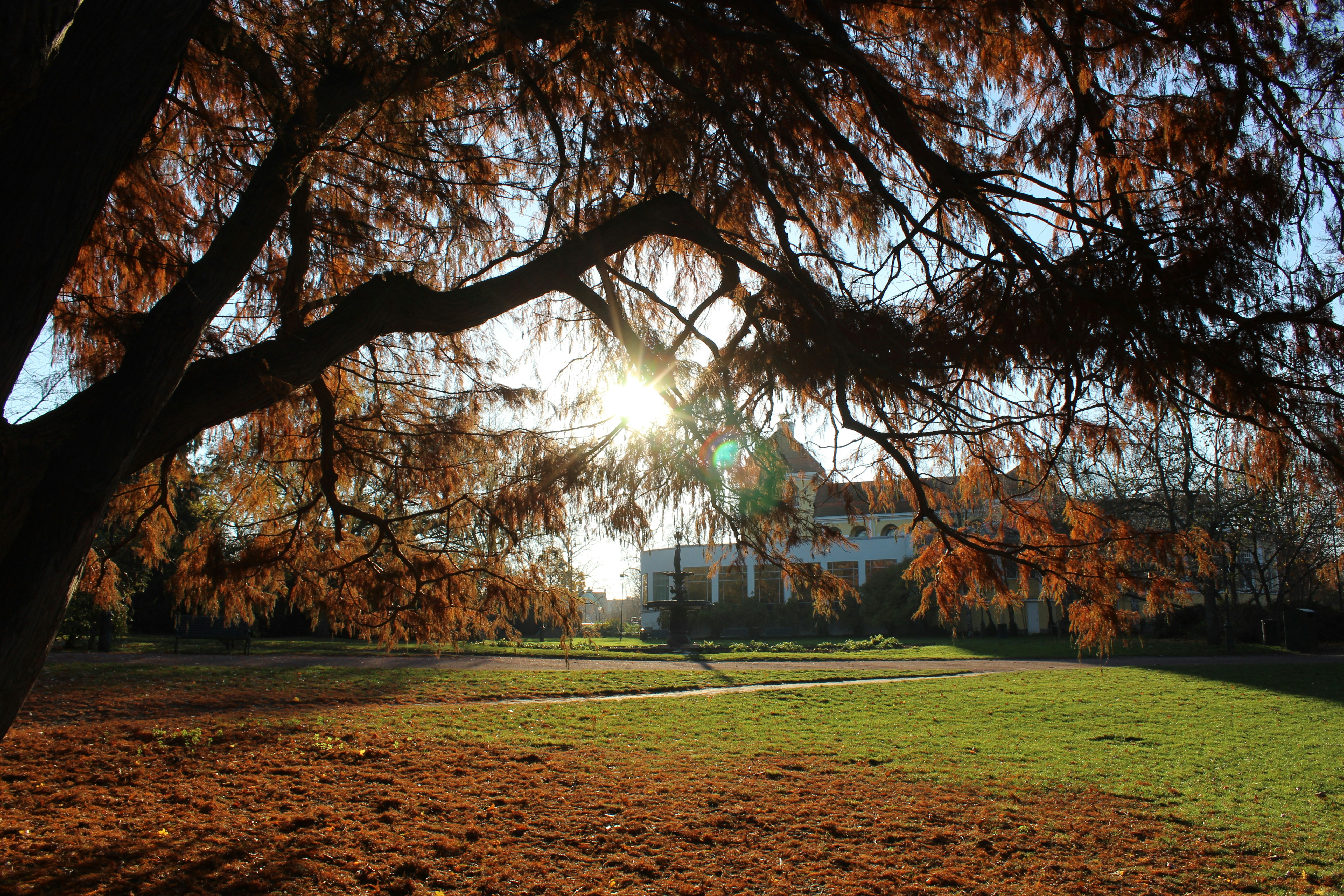 Photo by popedaniela94