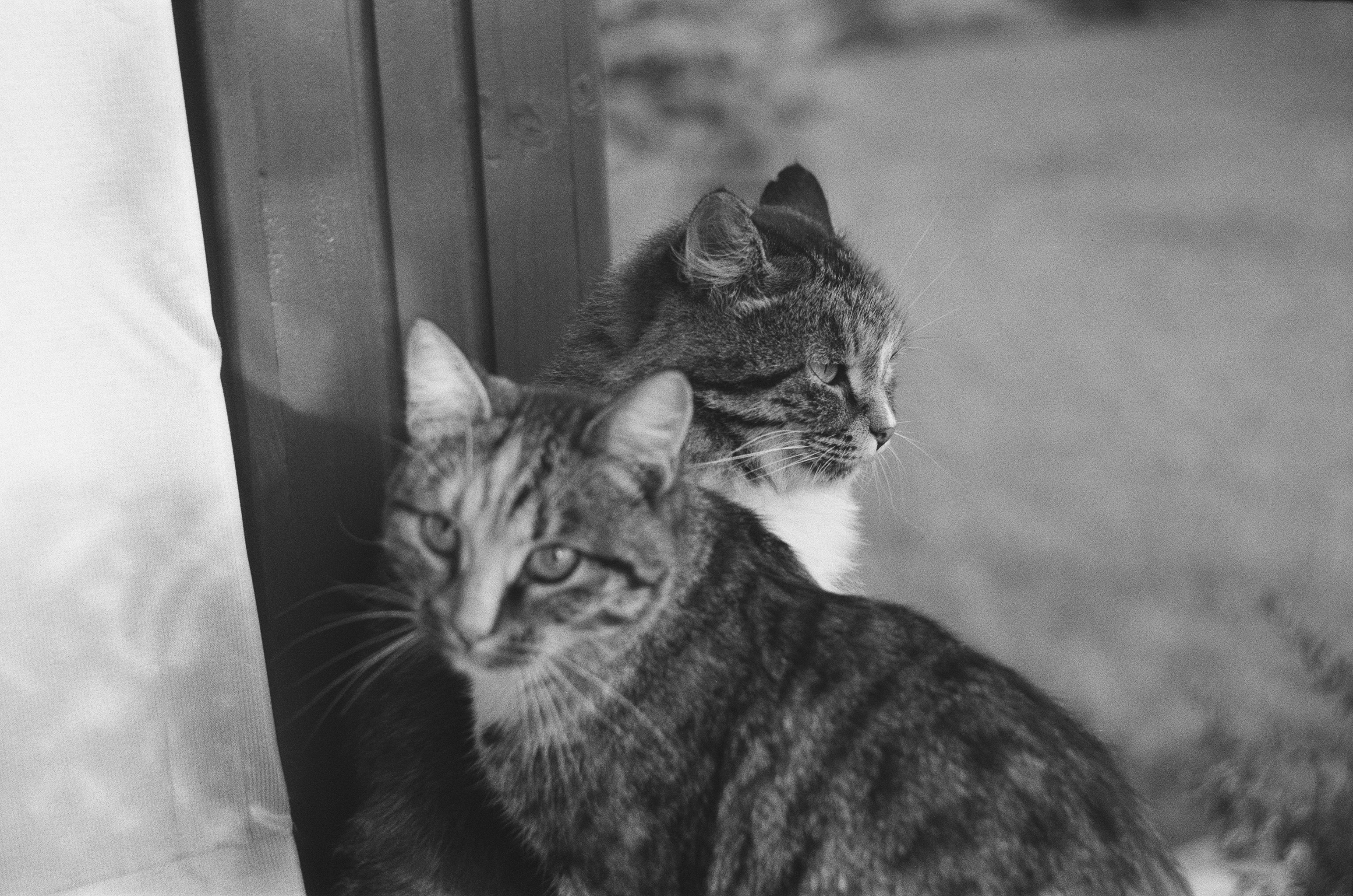 Photo by cestvictoiree