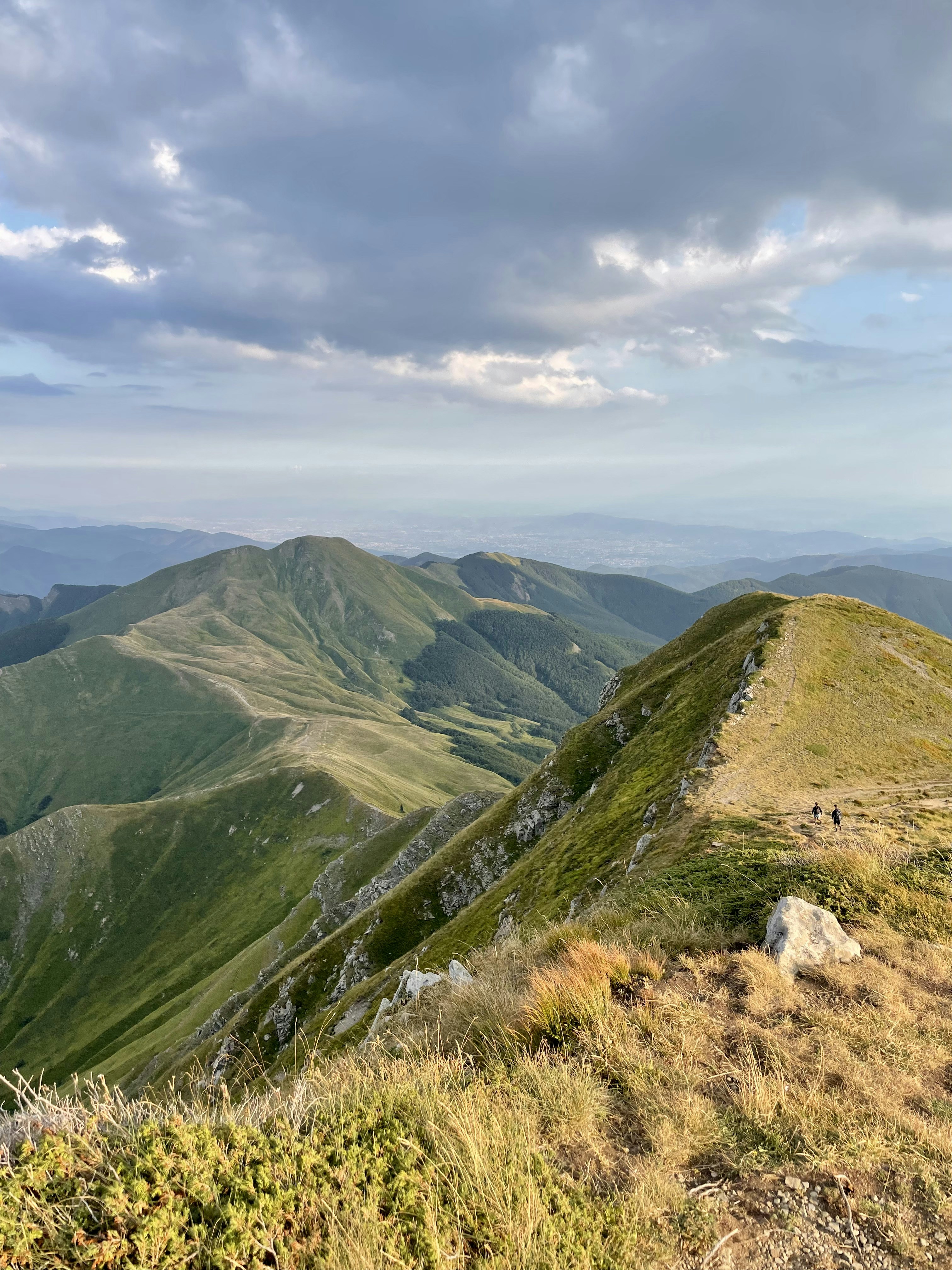 Photo by michaelmartinelli