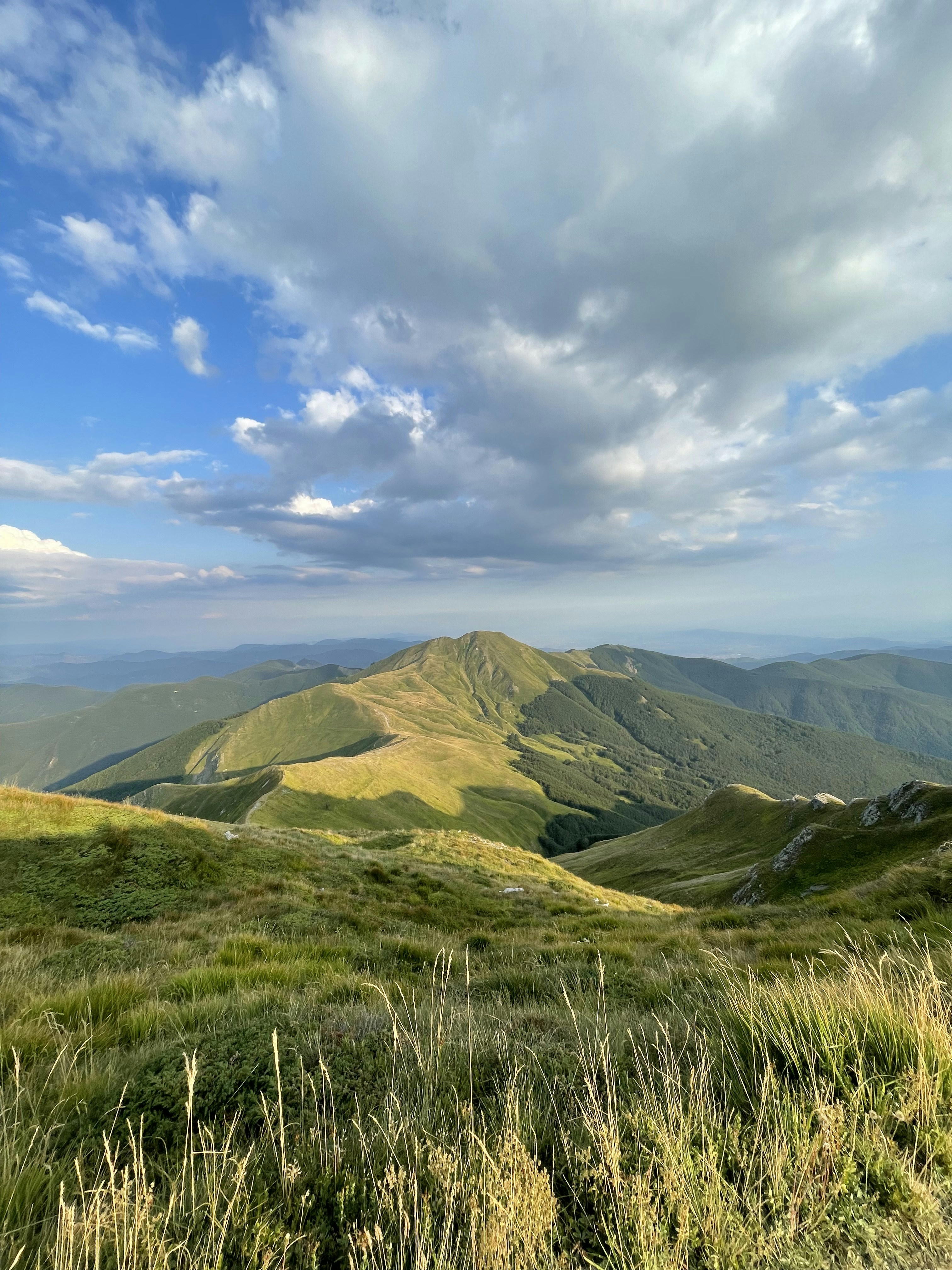 green grass field and mountains under blue sky during daytime