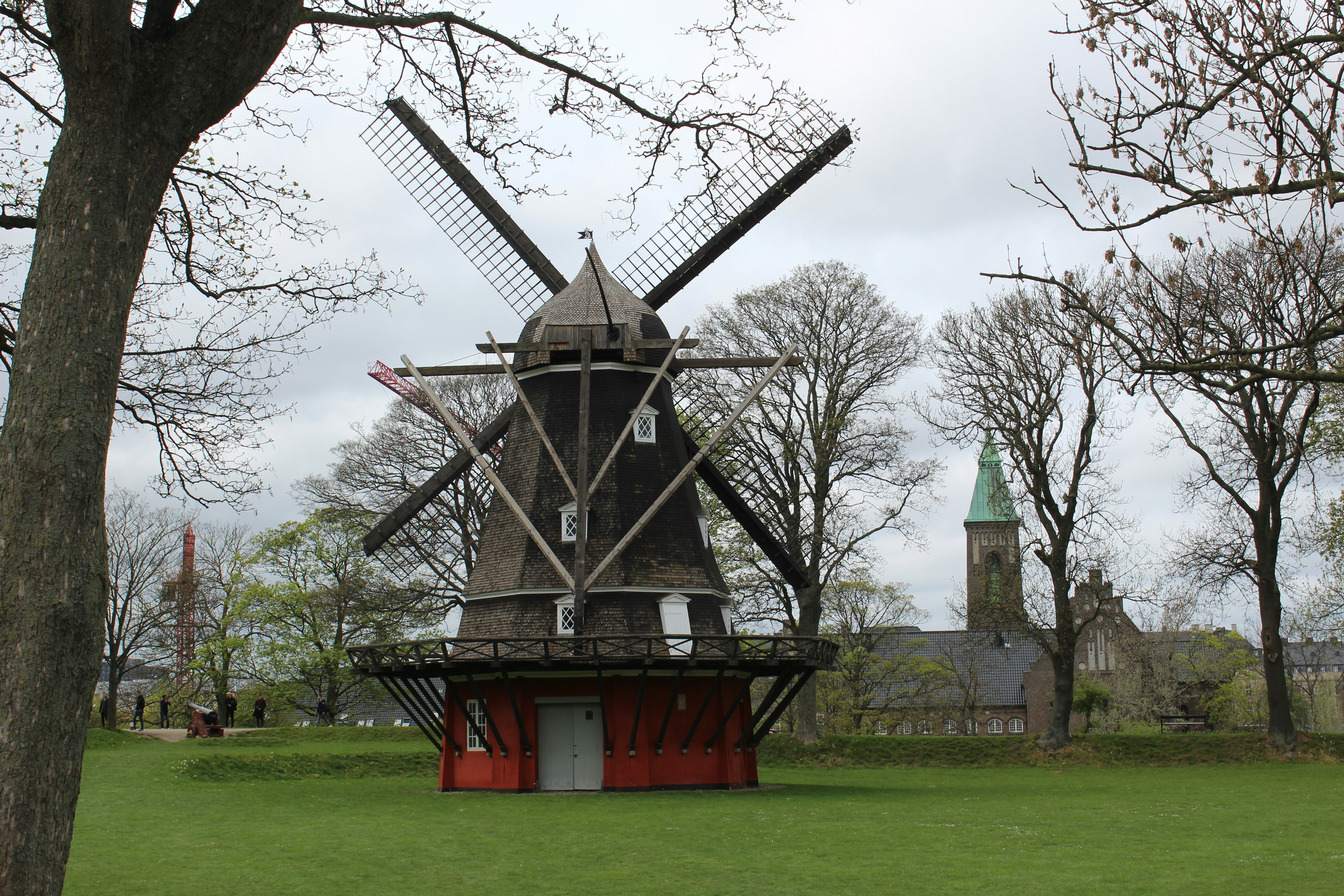 Photo by popedaniela94