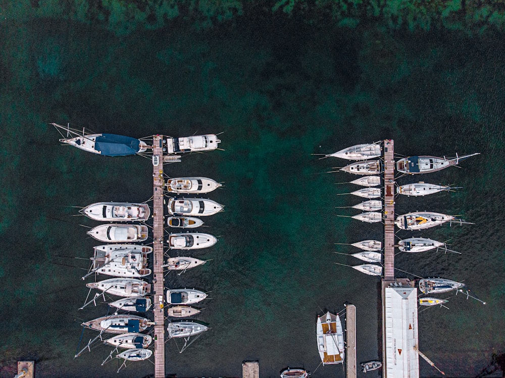 aerial view of boats on dock during daytime