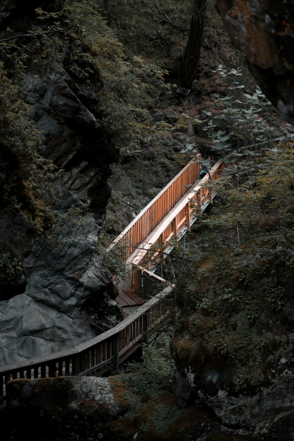 brown wooden bridge over river