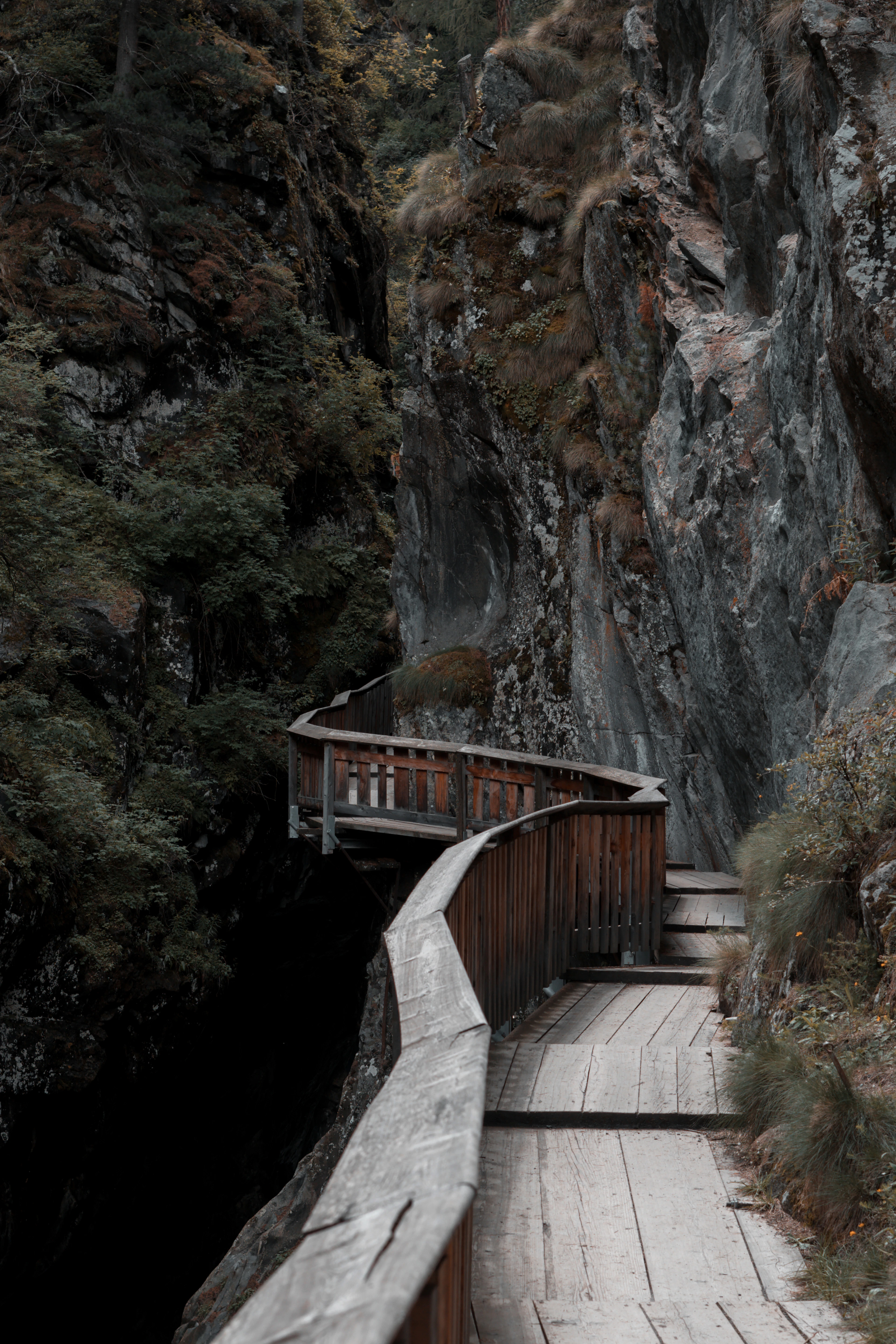 A wooden boardwalk with railings clings to the rock wall of a narrow forested gorge.
