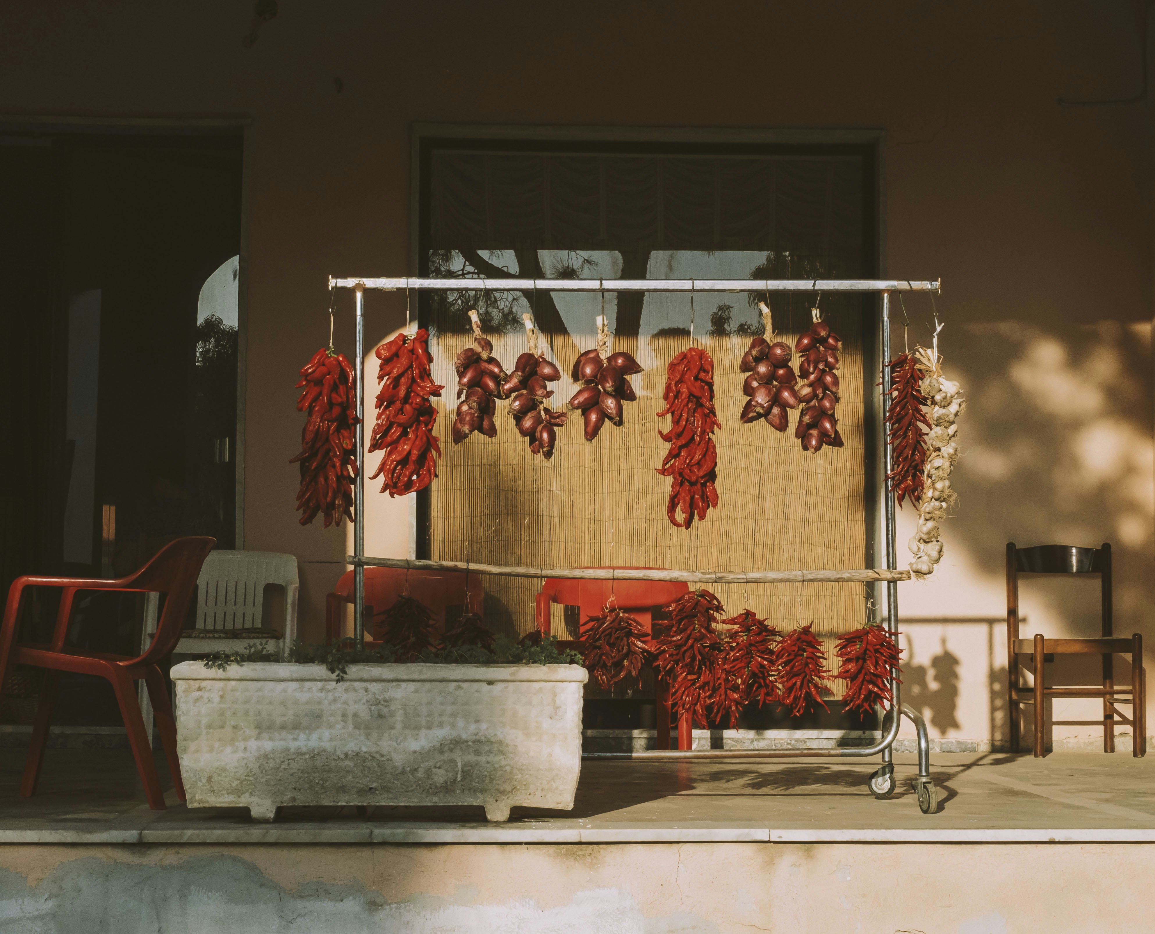 red flowers on gray concrete wall