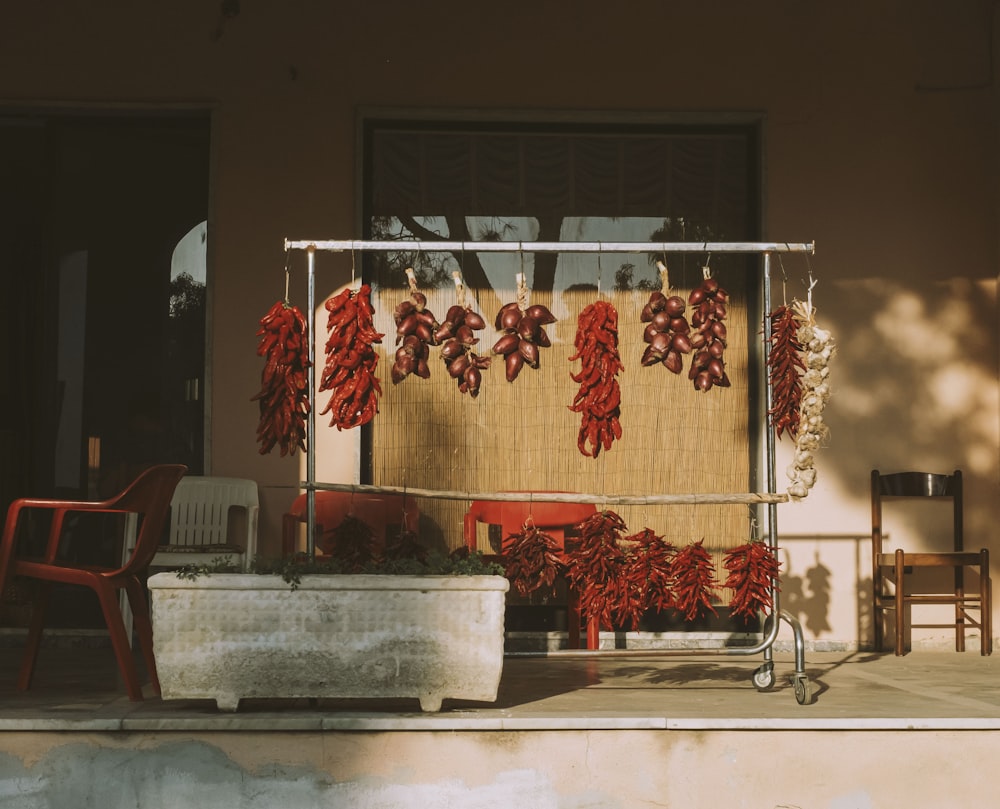 red flowers on gray concrete wall