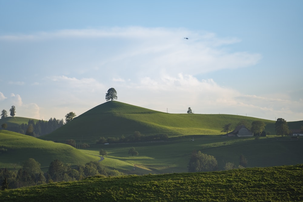 green grass field under blue sky during daytime