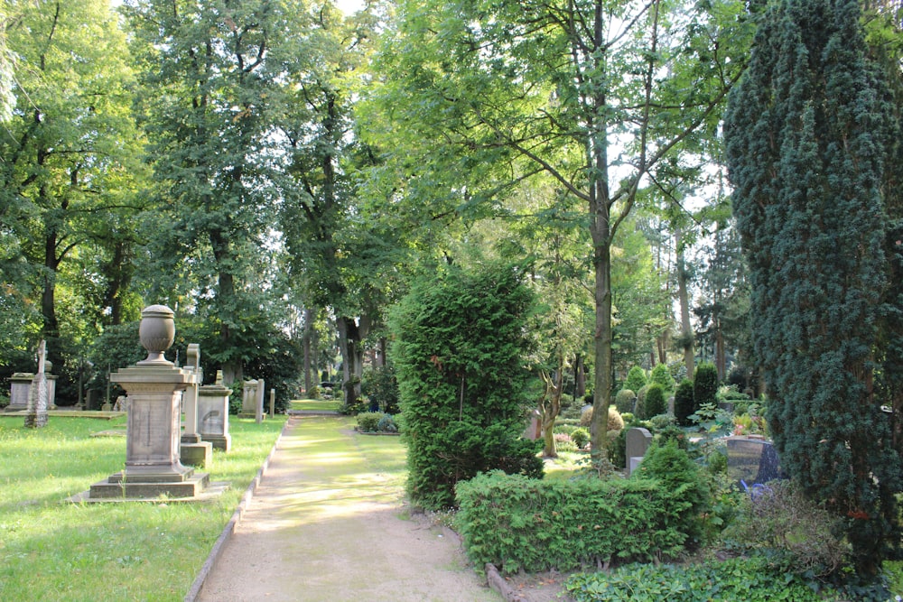 green trees and plants on the ground