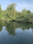 View from the river-facing room balcony showing calm water and trees reflecting on the surface.