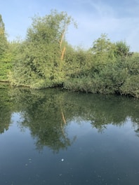 View from the river-facing room balcony showing calm water and trees reflecting on the surface.