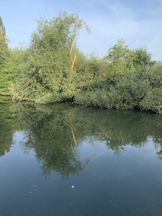 A peaceful moment by Caño Negro river with calm waters reflecting the surrounding tropical vegetation.