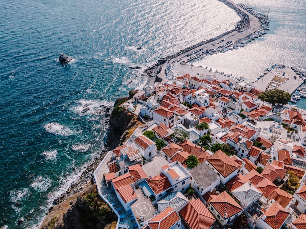 aerial view of city buildings near body of water during daytime