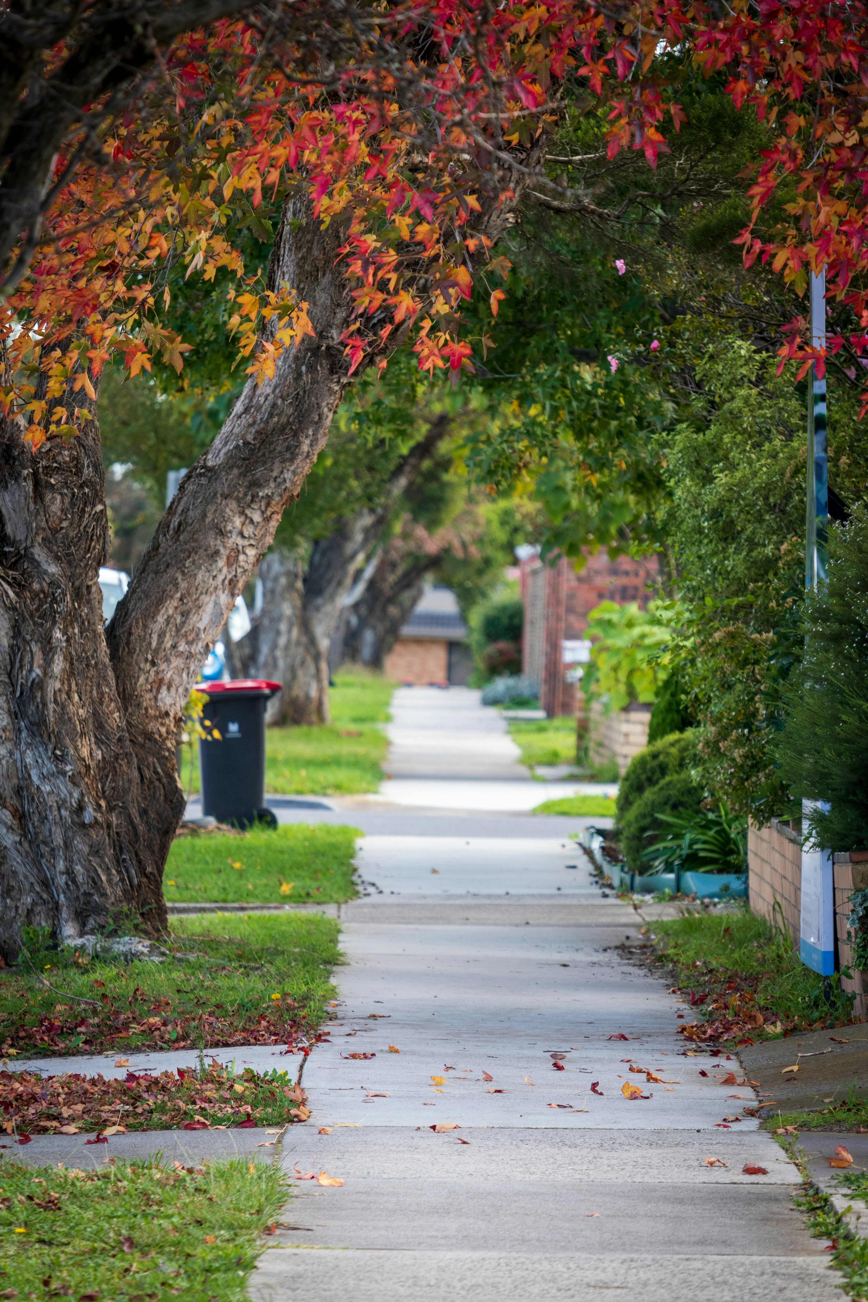 DuPage County, Illinois