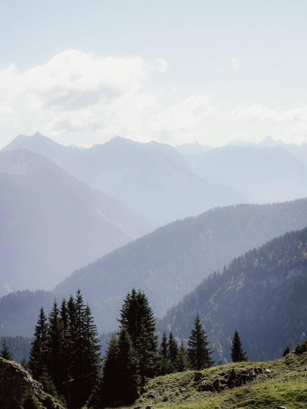 green pine trees on mountain during daytime