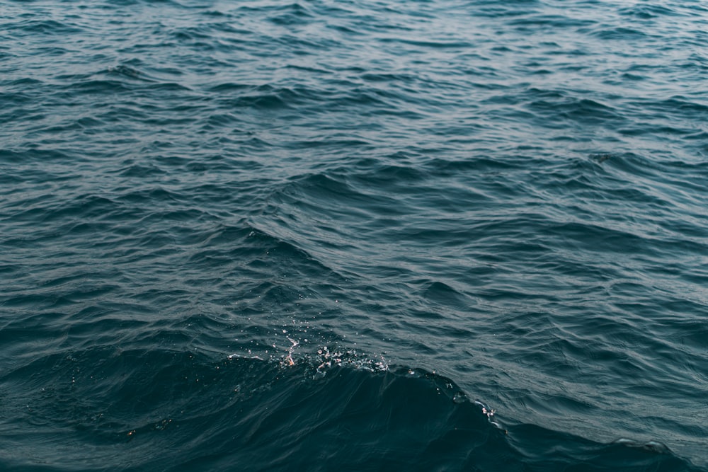 blue ocean water during daytime