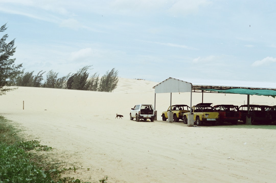 white and yellow food cart on white sand during daytime