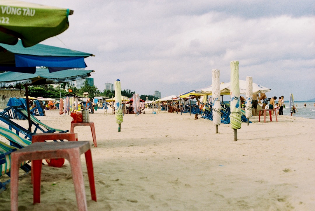 people on beach during daytime